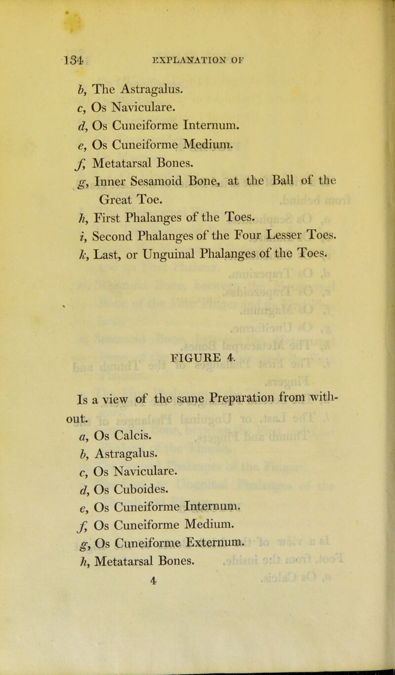 b, The Astragalus. c, Os Naviculare. d, Os Cuneiforme Internum. e, Os Cuneiforme Medium. fy Metatarsal Bones. g, Inner Sesamoid Bone, at the Ball of the Great Toe. h, First Phalanges of the Toes. i, Second Phalanges of the Four Lesser Toes. k, Last, or Unguinal Phalanges of the Toes. FIGURE 4. Is a view of the same Preparation from with- out. a, Os Calcis. b, Astragalus. c, Os Naviculare. d, Os Cuboides. e, Os Cuneiforme Internum. f9 Os Cuneiforme Medium. g, Os Cuneiforme Externum. h, Metatarsal Bones. 4