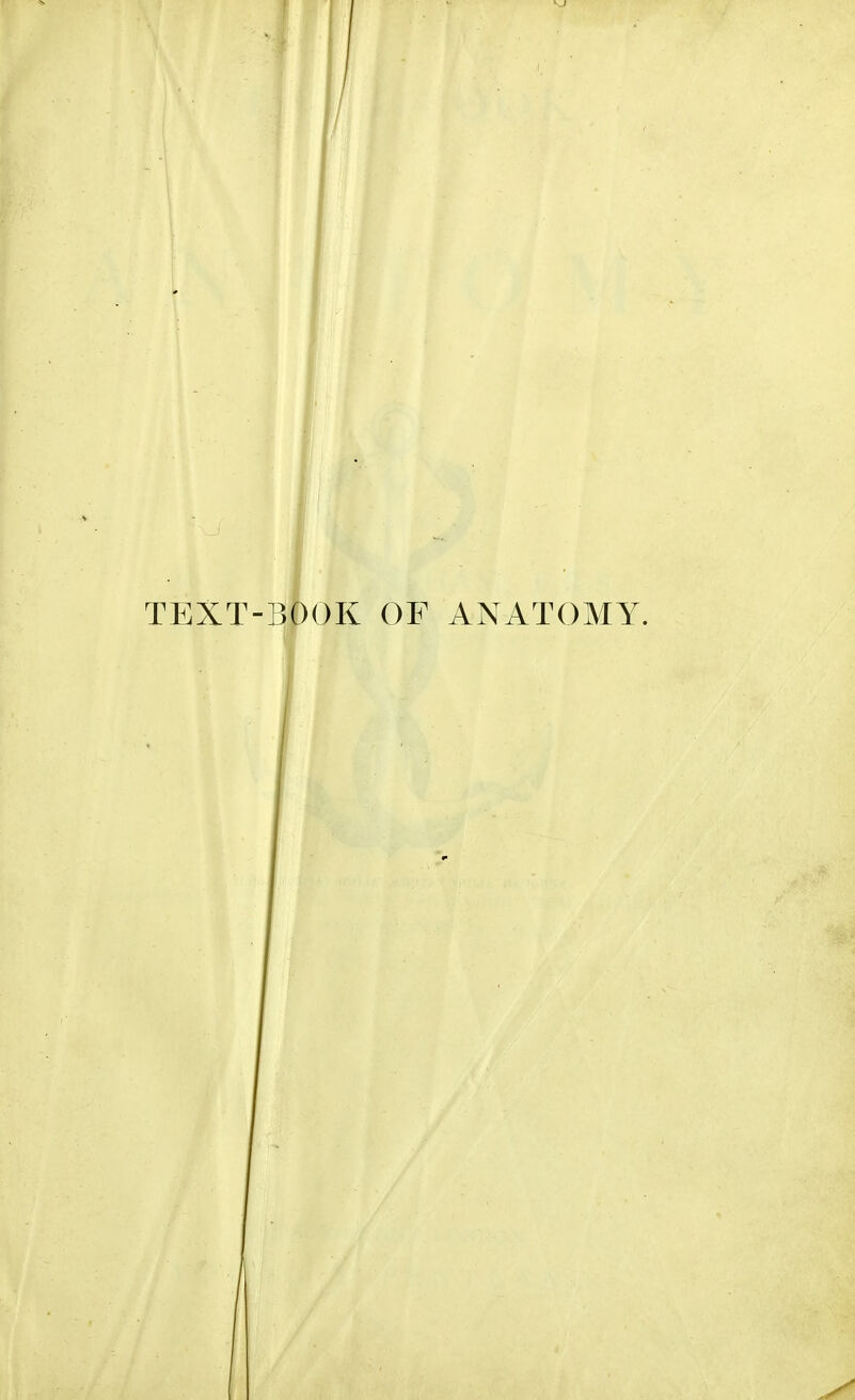 TEXT-BOOK OF ANATOMY.