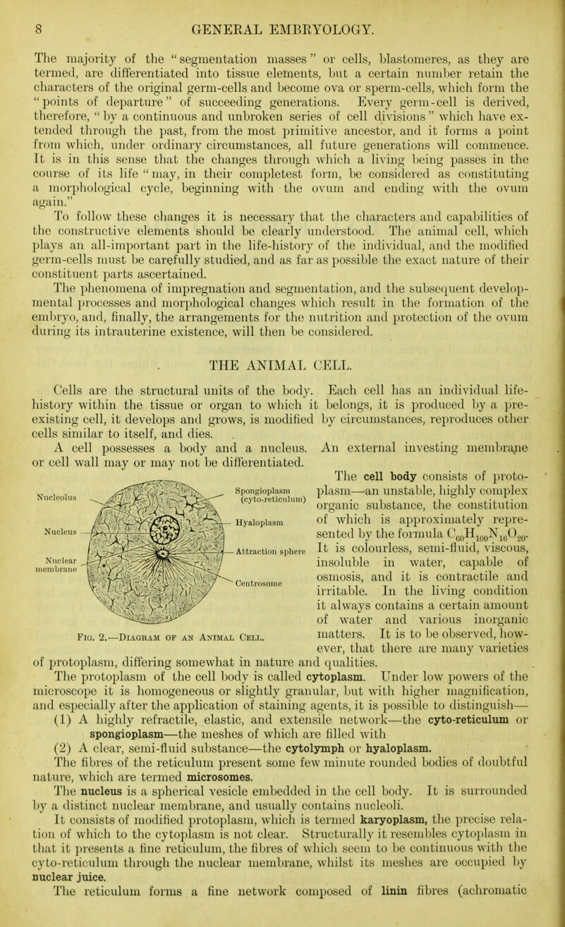 The majority of the  segmentation masses or cells, Llastomeres, as they are termed, are differentiated into tissue elements, but a certain number retain the characters of the original germ-cells and become ova or sperm-cells, which form the points of departure of succeeding generations. Every germ-cell is derived, therefore,  by a continuous and unbroken series of cell divisions  which have ex- tended through the past, from the most primitive ancestor, and it forms a point from which, under ordinary circumstances, all future generations will commence. It is in this sense that the changes through which a living being passes in the course of its life  may, in their completest form, be considered as constituting a morphological cycle, beginning with the ovum and ending with the ovum again. To follow these changes it is necessary that the characters and capabilities of the constructive elements should be clearly understood. The animal cell, which plays an all-important part in the life-history of the individual, and the modified germ-cells must be carefully studied, and as far as possible the exact nature of their constituent parts ascertained. Tlie phenomena of impregnation and segmentation, and the subsequent develop- mental processes and morphological changes which result in the formation of the embryo, and, finally, the arrangements for the nutrition and protection of the ovum during its intrauterine existence, will then be considered. THE ANIMAL CELL. Cells ai'e the structural units of the body. Each cell has an individual life- history within the tissue or organ to which it belongs, it is produced by a pre- existing cell, it develops and grows, is modified by circumstances, reproduces otlier cells similar to itself, and dies. A cell possesses a body and a nucleus. An external investing membrajie or cell wall may or may not be differentiated. The cell body consists of proto- plasm—=an unstable, highly complex organic substance, tlie constitution of which is approximately repre- Nucleohi Nucleus Spongioplasni (cyto-reticuluiii) Uyaloplasm Attraction sphere Ceiitrosoine Fio. 2.—Diagram of an Animal Cell. sented by the formula CgoHjQgNjgC.jQ. It is colourless, semi-fiuid, viscous, insoluble in water, capable of osmosis, and it is contractile and irritable. In the living condition it always contains a certain amount of water and various inorganic matters. It is to be observed, how- ever, that there are many varieties of protoplasm, differing somewhat in nature and qualities. The protoplasm of the cell body is called cytoplasm. Under low powers of the microscope it is homogeneous or slightly granular, but witli higher magnification, and especially after the application of staining agents, it is possible to distinguisli— (1) A highly refractile, elastic, and extensile network—the csrto-reticulum or spongioplasm—the meshes of which are filled with (2) A clear, semi-fluid substance—the cytolsnnph or hyaloplasm. The fibres of the reticulum present some few minute rounded bodies of doubtful nature, which are termed microsomes. The nucleus is a spherical vesicle embedded in the cell body. It is surrounded by a distinct nuclear membrane, and usually contains nucleoli. It consists of modified protoplasm, which is termed karyoplasm, the precise rela- tion of which to the cytoplasm is not clear. Structurally it resembles cytoi)lasm in that it })resents a fine reticulum, the fibres of which seem to be continuous with the cyto-reticulum through the nuclear membrane, whilst its meshes are occupied by nuclear juice. The reticulum forms a fine network composed of linin fibres (achromatic