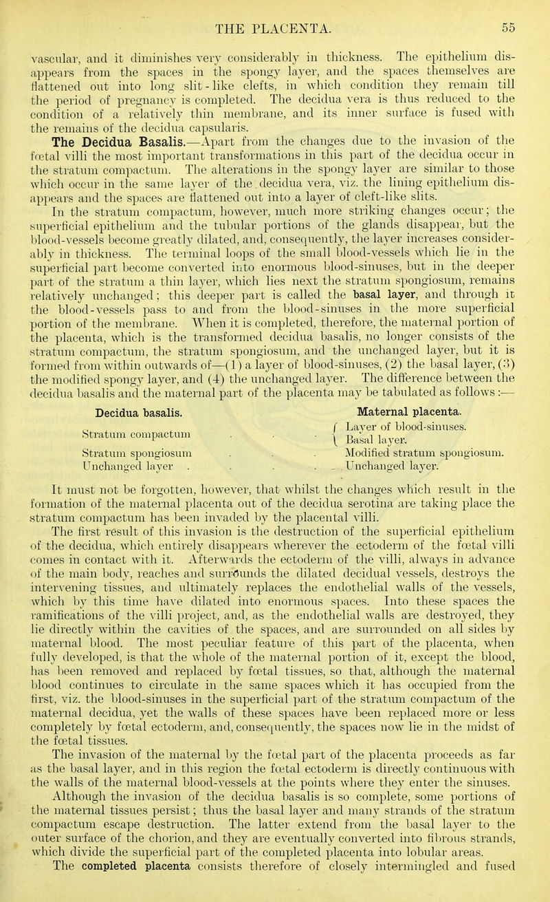 vascular, and it diminishes very considerably in thickness. The epithelium dis- appears from the spaces in the spongy layer, and the spaces themselves are flattened out into long slit - like clefts, in which condition they remain till the period of pregnancy is completed. The decidua vera is thus reduced to the condition of a relatively thin membrane, and its inner surface is fused with the remains of the decidua capsularis. The Decidua Basalis.—Apart from the changes due to the invasion of the fretal villi the most important transformations in this part of the decidua occur in the stratum compactum. The alterations in the spongy layer are similar to those which occur in tlie same layer of the decidua vera, viz. the lining epithelium dis- appears and the spaces are flattened out into a layer of cleft-like slits. In the stratum compactum, however, much more striking changes occur; the .superficial epithehum and the tubular portions of the glands disappear, but the blood-vessels become greatly dilated, and, consequently, tlie layer increases consider- ably in thickness. The terminal loops of the small blood-vessels which lie in the superficial part become converted into enormous blood-sinuses, but in the deeper part of the stratum a thin layer, which lies next the stratum spongiosum, remains relatively imchanged; this deeper part is called the basal layer, and through it the blood-vessels pass to and from the blood-sinuses in the more superficial portion of the membrane. When it is completed, therefore, the maternal portion of the placenta, whicli is the transformed decidua basalis, no longer consists of the stratum compactum, the stratum spongiosum, and the unchanged layer, but it is formed from within outwards of—(1) a layer of blood-sinuses, (2) the basal layer, (3) the modified spongy layer, and (4) the unchanged layer. The difference between the decidua basalis and the maternal part of the placenta may be tabulated as follows :— It must not be forgotten, however, that whilst the changes which result in tlie formation of the maternal placenta out of the decidua serotina are taking place the stratum compactum has been invaded by the placental villi. The first result of this invasion is the destruction of the superficial epithelium of the decidua, whicli entirely disappears wherever the ectoderm of the foetal villi comes in contact with it. Afterwards the ectoderm of the villi, always in advance of the main body, reaches and surr(5unds the dilated decidual vessels, destroys the inter\-ening tissues, and ultimately replaces the endothelial walls of the vessels, which by this time have dilated into enormous spaces. Into these spaces the ramifications of the villi project, and, as the endothelial walls are destroyed, they lie directly within the cavities of the spaces, and are surrounded on all sides by maternal blood. The most peculiar feature of this part of the placenta, when fully developed, is that the whole of the maternal portion of it, except the blood, has l)een removed and replaced by fcetal tissues, so that, although the maternal blood continues to circulate in the same spaces which it has occupied from the first, viz. the blood-sinuses in the superficial part of the stratum compactum of the maternal decidua, yet the walls of these spaces have been replaced more or less completely by foetal ectoderm, and, consequently, the spaces now lie in the midst of tlie foetal tissues. The invasion of the maternal l)y the ftetal part of the placenta proceeds as far as the basal layer, and in this region the fcetal ectoderm is directly continuous with the walls of the maternal blood-vessels at the points where they enter the sinuses. Although the invasion of the decidua basalis is so complete, some portions of the maternal tissues persist; thus the basal layer and many strands of the stratum compactum escape destruction. The latter extend from the basal layer to the outer surface of the chorion, and they are eventually converted into filirous strands, which divide the superficial part of the completed placenta into lobular areas. The completed placenta consists therefore of closely intermingled and fused Stratum compactum Stratum spongiosum Unchanged layer Decidua basalis. Maternal placenta. Layer of blood-sinuses. Modified stratum spongiosum. Unchanged layei'.