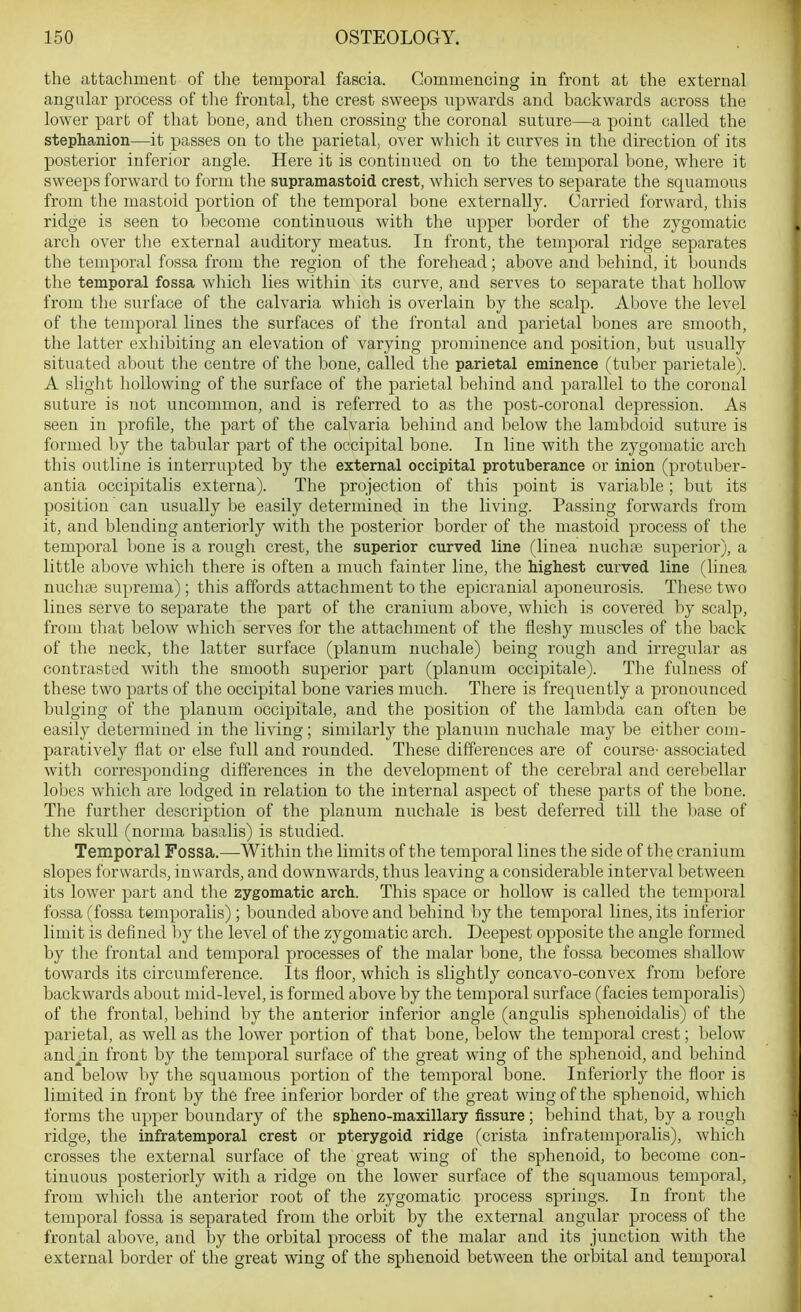 the attachment of the temporal fascia. Commencing in front at the external angular process of the frontal, the crest sweeps upwards and backwards across the lower part of that bone, and then crossing the coronal suture—a point called the stephanion—it passes on to the parietal, over which it curves in the direction of its posterior inferior angle. Here it is continued on to the temporal bone, where it sweeps forward to form the supramastoid crest, which serves to separate the squamous from the mastoid portion of the temporal bone externally. Carried forward, this ridge is seen to become continuous with the upper border of the zygomatic arch over the external auditory meatus. In front, the temporal ridge separates the temporal fossa from the region of the forehead; above and behind, it bounds the temporal fossa which lies within its ciirve, and serves to separate that hollow from the surface of the calvaria which is overlain by the scalp. Above the level of the temporal lines the surfaces of the frontal and parietal bones are smooth, the latter exhibiting an elevation of varying prominence and position, but usually situated about the centre of the bone, called the parietal eminence (tuber parietale). A slight hollowing of the surface of the parietal behind and parallel to the coronal suture is not uncommon, and is referred to as the post-coronal depression. As seen in profile, the part of the calvaria behind and below the lambdoid suture is formed by the tabular part of the occipital bone. In line with the zygomatic arch this outline is interrupted by the external occipital protuberance or inion (protuber- antia occipitalis externa). The projection of this point is variable; but its position can usually be easily determined in the living. Passing forwards from it, and blending anteriorly with the posterior border of the mastoid process of the temporal bone is a rough crest, the superior curved line flinea nuchre superior), a little above which there is often a much fainter line, the highest curved line (linea nuchcB suprema); this affords attachment to the epicranial aponeurosis. These two lines serve to separate the part of the cranium above, which is covered by scalp, from that below which serves for the attachment of the fleshy muscles of the back of the neck, the latter surface (planum nuchale) being rough and irregular as contrasted with the smooth superior part (planum occipitale). The fulness of these two parts of the occipital bone varies much. There is frequently a pronounced bulging of the planum occipitale, and the position of the lambda can often be easily determined in the living; similarly the planum nuchale may be either com- paratively flat or else full and rounded. These differences are of course' associated with corresponding differences in the development of the cerebral and cerebellar lobes which are lodged in relation to the internal aspect of these parts of the bone. The further description of the planum nuchale is best deferred till the base of the skull (norma basalis) is studied. Temporal Fossa.—Within the limits of the temporal lines the side of the cranium slopes forwards, inwards, and downwards, thus leaving a considerable interval between its lower part and the zygomatic arch. This space or hollow is called the temporal fossa (fossa temporalis) ; bounded above and behind by the temporal lines, its inferior limit is defined by the level of the zygomatic arch. Deepest opposite the angle formed by the frontal and temporal processes of the malar bone, the fossa becomes shallow towards its circumference. Its floor, which is slightly concavo-convex from before backwards about mid-level, is formed above by the temporal surface (facies temporalis) of the frontal, behind by the anterior inferior angle (angulis sphenoidalis) of the parietal, as well as the lower portion of that bone, below the temporal crest; below and in front by the temporal surface of the great wing of the sphenoid, and behind and below l)y the squamous portion of the temporal bone. Inferiorly the floor is limited in front by the free inferior border of the great wing of the sphenoid, which forms the tipper boundary of the spheno-maxillary fissure; behind that, by a rough ridge, the infratemporal crest or pterygoid ridge (crista infratemporalis), which crosses the external surface of the great wing of the sphenoid, to become con- tinuous posteriorly with a ridge on the lower surface of the squamous temporal, from which the anterior root of the zygomatic process springs. In front the temporal fossa is separated from the orbit by the external angular process of the frontal above, and by the orbital process of the malar and its junction with the external border of the great wing of the sphenoid between the orbital and temporal