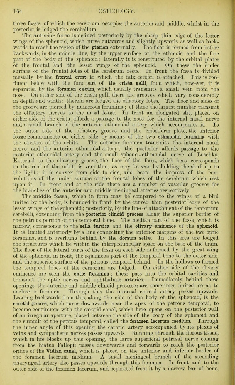 three fossos, of which the cerebrum occupies the anterior and middle, whilst in the posterior is lodged the cerebellum. The anterior fossa is defined posteriorly by the sharp thin edge of the lesser wings of the sphenoid, which curve outwards and slightly upwards as well as back- wards to reach the region of the pterion externally. The floor is formed from before backwards, in the middle line, by the upper surface of the ethmoid and the fore part of the body of the sphenoid ; laterally it is constituted by the orbital plates of the frontal and the lesser wings of the sphenoid. On these the under surface of the frontal lobes of the cerebrum rests. In front the fossa is divided mesially by the frontal crest, to which the falx cerebri is attached. This is con- fluent below with tlie fore part of the crista galli, from which, however, it is separated by the foramen csecum, which usually transmits a small vein from the nose. On either side of the crista galli there are grooves which vary considerably in depth and width: therein are lodged the olfactory lobes. The floor and sides of the groove are pierced by numerous foramina ; of these the largest number transmit the olfactory nerves to the nasal fossse. In front an elongated slit, placed on either side of the crista, affords a passage to the nose for the internal nasal nerve and a small branch of the anterior ethmoidal artery which accompanies it. To the outer side of the olfactory groove and the cribriform plate, the anterior fossae communicate on either side by means of the two ethmoidal foramina with the cavities of the orbits. The anterior foramen transmits the internal nasal nerve and the anterior ethmoidal artery; the posterior affords passage to the posterior ethmoidal artery and the small spheno - ethmoidal nerve of Luschka. External to the olfactory groove, the floor of the fossa, which here corresponds to the roof of the orbit, is very thin, as may be seen by holding the skull up to the light; it is convex from side to side, and bears the impress of the con- volutions of the under surface of the frontal lobes of the cerebrum which rest upon it. In front and at the side there are a number of vascular grooves for the branches of the anterior and middle meningeal arteries respectively. The middle fossa, which in form may be compared to the wings of a bird united by the body, is bounded in front by the curved thin posterior edge of the lesser wings of the sphenoid ; posteriorly, by the line of attachment of the tentorium cerebelli, extending from the posterior clinoid process along the superior border of the petrous portion of the temporal bone. The median part of the fossa, which is narrow, corresponds to the sella turcica and the olivary eminence of the sphenoid. It is limited anteriorly by a line connecting the anterior margins of the two optic foramina, and is overhung behind by the dorsum sellae. In this area are lodged the structures which lie within the interpeduncular space on the base of the brain. The floor of the lateral parts of the fossa on each side is formed by the great wing of the sphenoid in front, the squamous part of the temporal bone to the outer side, and the superior surface of the petrous temporal behind. In the hollows so formed the temporal lobes of the cerebrum are lodged. On either side of the oHvary eminence are seen the optic foramina; these pass into the orbital cavities and transmit the optic nerves and ophthalmic arteries. Immediately behind these openings the anterior and middle cHnoid processes are sometimes united, so as to enclose a foramen. Through this the internal carotid artery passes upwards. Leading backwards from this, along the side of the body of the sphenoid, is the carotid groove, which turns downwards near the apex of the petrous temporal, to become continuous with the carotid canal, which here opens on the posterior wall of an irregular aperture, placed between the side of the body of the sphenoid and the summit of the petrous temporal, called the foramen lacerum medium. Through the inner angle of this opening the carotid artery accompanied by its plexus of veins and sympathetic nerves passes upwards. Kunning through the fibrous tissue, which in life blocks up this opening, the large superficial petrosal nerve coming from the hiatus Fallopii passes downwards and forwards to reach the posterior orifice of the Vidian canal, which is placed on the anterior and inferior border of the foramen lacerum medium. A small meningeal branch of the ascending pharyngeal artery also passes upwards through this foramen. In front and to the outer side of the foramen lacerum, and separated from it by a narrow bar of bone.