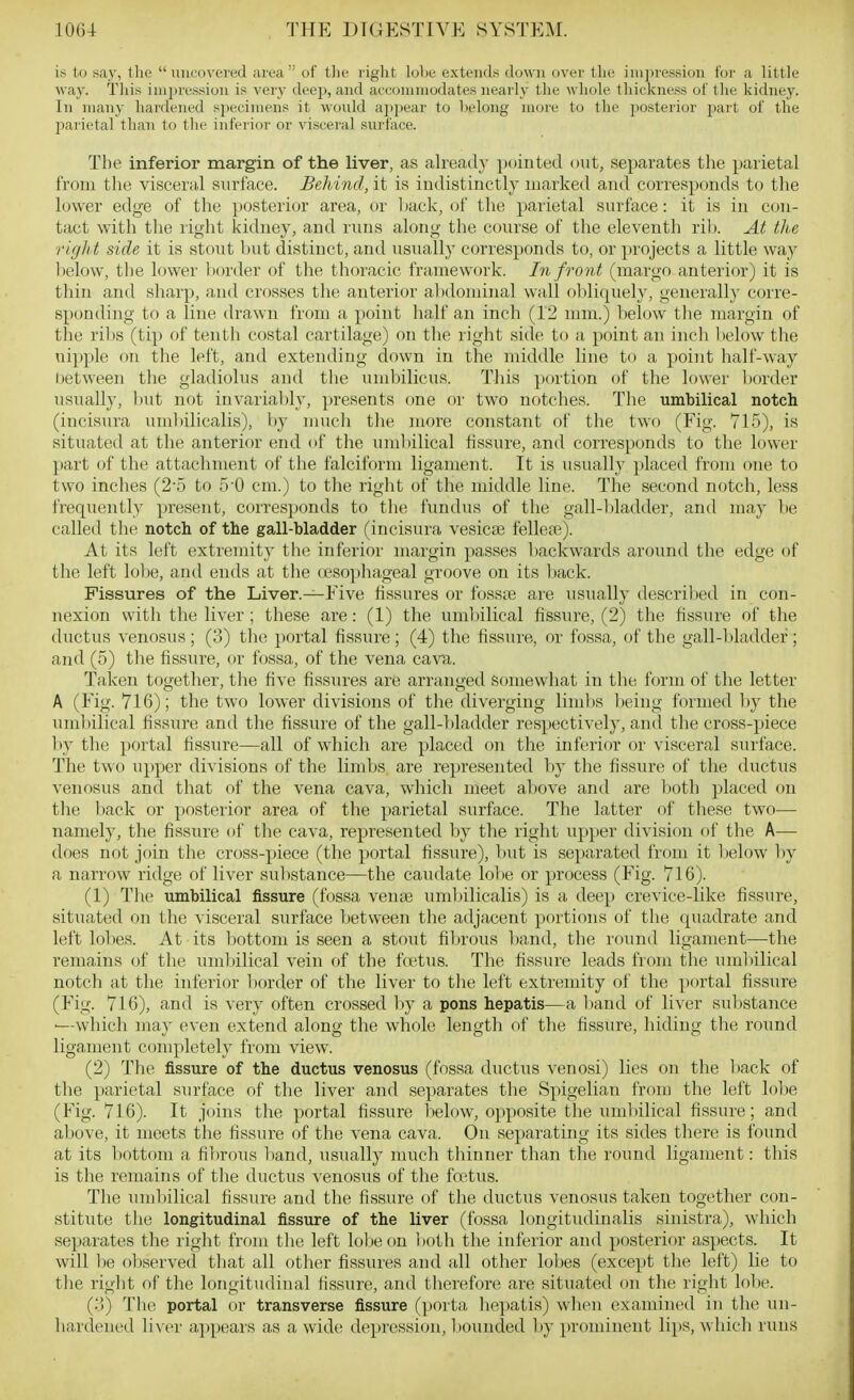 is to say, the  uncovered area  of tlie right lobe extends down over tlu; inii)ressioii tor a little way. This inij)ressiou is very deej), and aeconiniodates nearly the whole thickness of the kidney. Ill many hardened S2)eciinens it would a])pear to belong more to the jiosterior part of the parietal than to the inferior or visceral surface. The inferior margin of the liver, as alreatly pointed out, separates the paiietal from the visceral surface. Behind, it is indistinctly marked and corresponds to the lower edge of the posterior area, or l)ack, of the parietal surface: it is in con- tact with the right kidney, and runs along the course of the eleventh ril). At the righ t side it is stout but distinct, and usually corresponds to, or projects a little wa}' l)elow, the lower border of the thoracic frainework. In front (margo anterior) it is thin and sharp, and crosses the anterior al)douiinal wall ol)liquely, generally corre- sponding to a line drawn from a point half an inch (12 mm.) below the margin of the ril IS (tip of tenth costal cartilage) on the right side to a point an inch l)elow the nipple on the left, and extending down in the middle line to a point half-way tietween the gladiolus and the umbilicus. This portion of the lower liorder usually, but not invariably, presents one or two notches. The umbilical notch (incisura umbilicalis), by much the more constant of the two (Fig. 715), is situated at the anterior end of the uml)ilical fissure, and corresponds to the lower part of the attachment of the falciform ligament. It is usually placed from one to two inches (2-5 to 5-0 cm.) to the right of the middle line. The second notch, less frequently present, corresponds to the fundus of the gall-l)ladder, and may be called the notch of the gall-bladder (incisura vesicte felle?e). At its left extremity tlie inferior margin passes backwards around the edge of the left lobe, and ends at the oesophageal groove on its back. Fissures of the Liver.—Five fissures or fosste are usually described in con- nexion with the liver; these are: (1) the umliilical fissure, (2) the fissure of the dttctus venosus ; (3) the portal fissure; (4) the fissure, or fossa, of the gall-1 iladder; and (5) the fissure, or fossa, of the vena cava. Taken together, the five fissures are arranged Somewhat in the form of the letter A (Fig. 716); the two lower divisions of the diverging limbs being formed by the umbilical fissure and the fissure of the gall-bladder respectively, and the cross-piece l)y the portal fissure—all of which are placed on the inferior or visceral surface. The two upper divisions of the limbs are represented by the fissure of the ductus venosus and that of the vena cava, which meet above and are both placed on the back or posterior area of the parietal surface. The latter of these two— namely, the fissure of the cava, represented by the right upper division of the A— does not join the cross-piece (the portal fissure), but is separated from it lielow by a narrow ridge of liver substance—the caudate lobe or process (Fig. 716). (1) The umbilical fissure (fossa vente uml)ilicalis) is a deep crevice-like fissure, situated on the visceral surface between the adjacent portions of the quadrate and left lobes. At its bottom is seen a stout fibrous band, the round ligament—the remains of the umbilical vein of the foetus. The fissure leads from the umbilical notch at the inferior border of the liver to the left extremity of the portal fissure (Fig. 716), and is very often crossed by a pons hepatis—a band of liver substance ■—which may even extend along the whole length of the fissure, hiding the round ligament completely from view. (2) The fissure of the ductus venosus (fossa ductus venosi) lies on the liack of the parietal surface of the liver and separates the Spigelian from the left lobe (Fig. 716). It joins the portal fissure lielow, opposite the umbilical fissure; and above, it meets the fissure of the vena cava. On separating its sides there is found at its bottom a filirous liand, usually much thinner than the round ligament: this is the remains of the ductus venosus of the fa'tus. The umbilical fissure and the fissure of the ductus venosus taken together con- stitute the longitudinal fissure of the liver (fossa longitudinalis sinistra), which separates the right from the left lobe on both the inferior and posterior aspects. It will be observed that all other fissures and all other lobes (except the left) lie to the right of the longitudinal fissure, and therefore are situated on the right lobe. (o) The portal or transverse fissure (porta hepatis) when examined in the un- hardened liver appears as a wide depression, Ijounded by })rominent lips, which runs