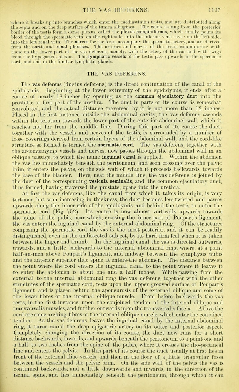 Avliere it breaks uji into ])rauclie.s which enter the niediastiiiuiu testi.s, and are distributed along the septa and on tlie deep surface of the tunica albuginea. Tlie veins issuing from tlie posterior border of the testis form a dense plexus, called the plexus pampiniformis, which tlnally pours its blood through the spermatic vein, on the right side, into the inferior vena cava; on the left side, into the left renal vein. The nerves for the testis accompany the spermatic artery, and are derived from the aortic and renal plexuses. TJie arteries and nerves of the testis communicate with those on the lower part of tlie vas deferens, namely, with the artery of the vas and with twigs from the liypogastric plexus. The lymphatic vessels of the testis pass upwards in the spermatic cord, and end in the lumbar lymphatic glands. THE VAS DEFERENS. The vas deferens (ductus deferens) is the direct continuation of the canal of the epididymis. Beginning at the lower extremity of the epididymis, it ends, after a course of nearly 18 inches, by opening as the common ejaculatory duct into the prostatic or first part of the urethra. The duct in parts of its course is somewhat convoluted, and the actual distance traversed by it is not more than 12 inches. Placed in the first instance outside the abdominal cavity, the vas deferens ascends within tlie scrotum towards tlie lower part of the anterior abdominal wall, which it reaches not far from the middle line. During this part of its course the duct, together with the vessels and nerves of the testis, is surrounded l)y a number of loose coverings derived from certain layers of the abdominal wall, and the cord-like structure so formed is termed the spermatic cord. The vas deferens, together with the accompanying vessels and nerves, now passes through the abdominal wall in an oblique passage, to which the name inguinal canal is applied. Within the abdomen the vas lies immediately beneath the peritoneum, and soon crossing over the pelvic brim, it enters the pelvis, on the side wall of which it proceeds backwards towards the base of the bladder. Here, near the middle line, the vas deferens is joined by the duct of the corresponding vesicula seminalis, and the common ejaculatory duct, thus formed, having traversed the prostate, opens into the urethra. At first the vas deferens, like the canal from which it takes its origin, is very tortuous, but soon increasing in thickness, the duct becomes less twisted, and passes upwards along the inner side of the epididymis and behind the testis to enter the spermatic cord (Fig. 752). Its course is now almost vertically upwards towards the spine of the pubis, near which, crossing the inner part of Poupart's ligament, the vas enters the inguinal canal by the external abdominal ring. Of the structures composing the spermatic cord the vas is the most posterior, and it can be readily distinguished, even in the undissected subject, by its hard firm feel when it is taken between the finger and thumb. In the inguinal canal the vas is directed outwards, upwards, and a little backwards to the internal abdominal ring, wnere, at a point half-an-inch above Poupart's ligament, and midway between the symphysis pubis and the anterior superior iliac spine, it enters-the abdomen. The distance between the point where the cord enters the inguinal canal to the point where it leaves it to enter the abdomen is about one and a half inches. While passing from the external to the internal abdominal ring the vas deferens, together with the other structures of the spermatic cord, rests upon the upper grooved surface of Poupart's ligament, and is placed behind the aponevtrosis of the external oblique and some of the lower fibres of the internal oblique muscle. From before backwards the vas rests, in the first instance, upon the conjoined tendon of the internal oblique and transversalis muscles, and further outwards upon the transversalis fascia. Above the cord are some arching fibres of the internal oblique muscle, which enter the conjoined  tendon. As the vas deferens leaves the inguinal canal by the internal abdominal ring, it turns round the deep epigastric artery on its outer and posterior aspect. Completely changing the direction of its course, the duct now runs for a short distance backwards, inwards, and upwards, beneath the peritoneum to a point one and a half to two inches from the spine of the pubis, where it crosses the ilio-pectineal line and enters the pelvis. In this part of its course the duct usually at first lies in front of the external iliac vessels, and then in the floor of a^ little triangular fossa between the vessels and tlie pelvic brim. On the side wall of the pelvis the vas is continued backwards, and a little downwards and inwards, in the direction of the ischial spine, and lies immediately beneath the peritoneum, through which it can