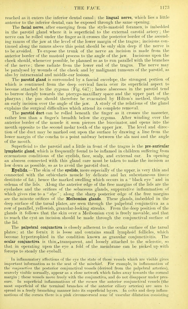 reached as it enters the inferior dental canal; the lingual nerve, whicli lies a little anterior to the inferior dental, can be exposed through the same opening. The facial nerve, after emerging from the stylo-niastoid foramen, is imbedded in the parotid gland where it is superficial to the external carotid artery; the nerve can be rolled under the finger as it crosses the posterior border of the ascend- ing ramus of the jaw at the level of the lower margin of the tragus; incisions con- tinued along the ramus above this point should be only skin deep if the nerve is to be avoided. To expose the trunk of the nerve an incision is made from the anterior border of the mastoid process to the angle of the jaw. Incisions upon the cheek should, whenever possible, be planned so as to run parallel with the branches of the nerve; these radiate from the lower end of the tragus. The nerve may l>e paralysed by wounds of the cheek and by malignant tumours of the parotid, as also by intracranial and middle-ear lesions. The parotid gland is surrounded by a fascial envelope, the strongest portion of which is continued from the deep cervical fascia over its superficial aspect to become attached to the zygoma (Eig. 047); hence abscesses in the parotid tend to burrow deeply towards the pterygo-maxillary space and the upper part of the pharynx ; the pus should therefore be evacuated by Hilton's method, through an early incision over the angle of the jaw. A study of the relations of the gland explains the surgical difficulties which attend its complete removal. The parotid duct can be rolled beneath the finger as it crosses the masseter, rather less than a finger's breadth below the zygoma. After winding over the anterior border of the muscle it soon pierces the buccinator, and opens into the mouth opposite to the second molar tooth of the upper jaw. The level and direc- tion of the duct may be marked out upon the surface by drawing a line from the lower margin of tlie concha to a point midway between the ala nasi and the angle of the mouth. Superficial to the parotid and a little in front of the tragus is the pre-auricular lymphatic gland, which is frequently found to be inflamed in children suffering from eczematous conditions of the eyelids, face, scalp, and external ear. In opening an abscess connected with this gland care must be taken to make the incision as low down as possible, so as to avoid the parotid duct. Eyelids.—The skiu of the eyelids, more especially of the upper, is very thin and connected with the orbicularis muscle by delicate and lax subcutaneous tissue destitute of fat; hence the marked swelling which occurs in a  black eye  and in (edema of the lids. Along the anterior edge of the free margins of the lids are the eyelashes and the orifices of the sebaceous glands, suppurati\'e inflammation of which gives rise to a  sitye; along the sharp posterior edge of the free margins are the minute orifices of the Meibomian glands. These glands, imbedded in the deep surface of the tarsal plates, are seen through tlie palpebral conjunctiva as a row of pai-allel, yellowish, granular-looking streaks. From the deep position of the glands it follows that the skin over a Meibomian cyst is freely movable, and that to reach the cyst an incision should 1)e made through the conjunctival surface of the lid. The palpebral conjunctiva is closely adlierent to the («ular surface of the tarsal plates; at the fornix it is loose and contains small lymphoid follicles, which become hypertrophied in the condition known as granular conjunctivitis. The ocular conjunctiva is thin,.transparent, and loosely attached to the sclerotic, so that in operating upon the eye a fold of the membrane can be picked up witli forceps to steady the eyeltall. J11 inflammatory affections of the eye the state of those vessels whicli are visible gives important information as to the seat of the mischief. For example, in inflaumiation of the conjunctiva the posterior conjunctival vessels (derived from the palpebral arteries), scarcely visible normally, appear as a close network which fad^es away towards the corneal margin ; these vessels move freely with the conjunctiva, and do not disappear under pres- sure. In superficial inflammations of the cornea the anterior conjunctival vessels (the most superficial of the terminal branches of the anterior ciliary arteries) are seen to spread in a freely branching manner into its superficial layers. In iritis and dee]) inflaui- matious of the cornea there is a pink circumcorneal /.one 'of vascular dilatation consisting