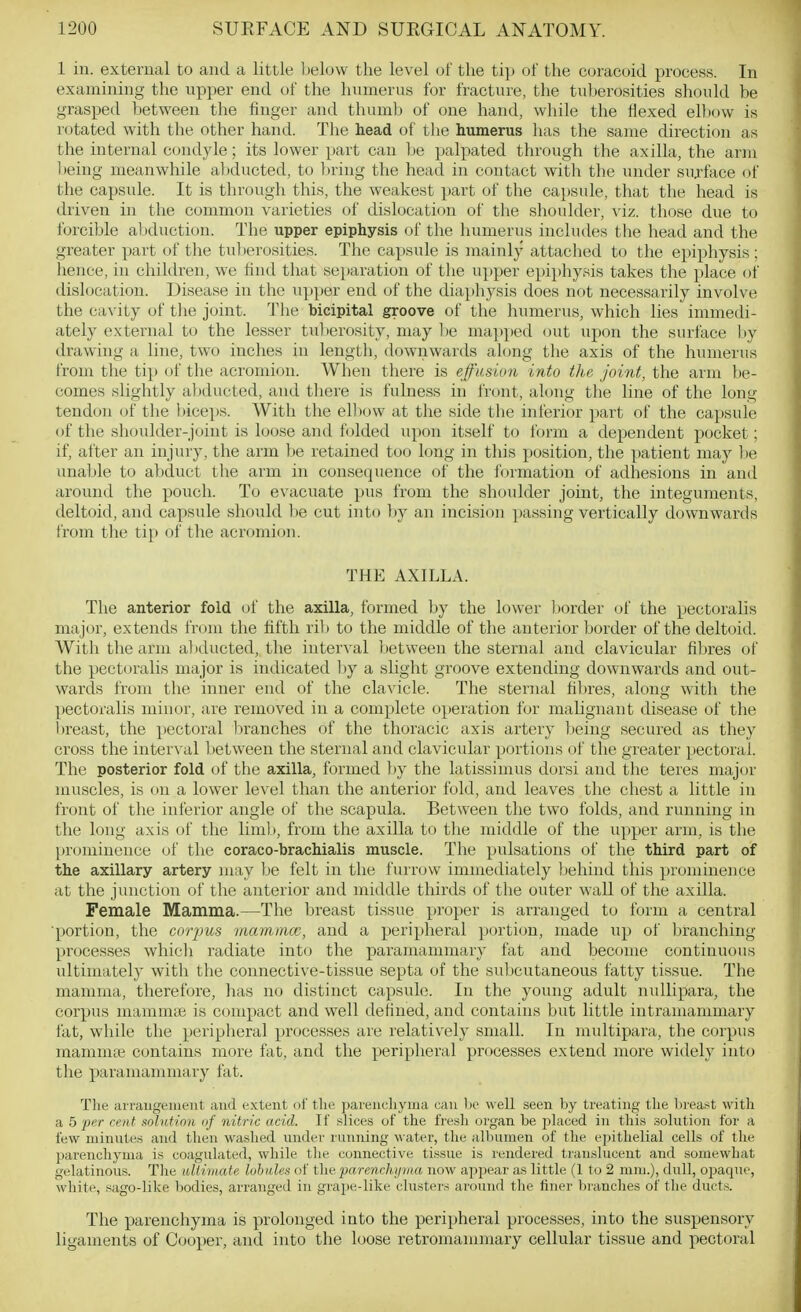 1 in. external to and a little below the level of the tip of the coracoid process. In examining the upper end of the humerus for fracture, the tuberosities should be grasped between the finger and thumb of one hand, while the flexed elbow is rotated with the other hand. The head of the humerus has the same direction as the internal condyle; its lower part can be palpated through the axilla, the arm Iteing meanwhile abducted, to bring the head in contact with the under suj.'face of the capsule. It is through this, the weakest part of the capsule, that the head is driven in the common varieties of dislocation of the shoulder, viz. those due to forcible aliduction. The upper epiphysis of the humerus includes the head and the greater yjart of the tulierosities. The capsule is mainly attached to the epiphysis; hence, in children, we find that separation of the upper epi})hysis takes the place of dislocation. Disease in the upper end of the diaphysis does not necessarily involve the cavity of the joint. Tlie bicipital groove of the humerus, which lies immedi- ately external to the lesser tulierosity, may be mapped out upon the surface by drawing a line, two inches in length, downwards along the axis of the humerus from the tip of the acromion. When there is effusion into the joint, the arm be- comes slightly abducted, and there is fulness in front, along the line of the long tendon of the biceps. With the elbow at the side the inferior part of the capsule of the shoulder-joint is loose and folded upon itself to form a dependent pocket; if, after an injury, the arm be retained too long in this position, the patient may be unal)le to abduct tlie arm in consequence of the formation of adhesions in aiul around the pouch. To evacuate pus from the shoulder joint, the integuments, deltoid, aiul capsule should be cut into by an incision passing vertically downwards from the tip of the acromion. THE AXILLA. The anterior fold tif the axilla, formed by the lower border (jf the pectoralis major, extends from the fifth rib to the middle of the anterior border of the deltoid. With the arm abducted, the interval between the sternal and clavicular fibres of the pectoralis major is indicated ])y a slight groove extending downwards and oi;t- wards from the inner end of the clavicle. The sternal fibres, along with the pectoralis minor, are removed in a complete operation for mahgnant disease of the l)reast, the pectoral branches of the thoracic axis artery being secured as they cross the interval between the sternal and clavicular portions of the greater pectoral. The posterior fold of the axilla, formed by the latissimus dorsi and the teres major muscles, is (in a lower level than the anterior fold, and leaves the chest a little in front of the inferior angle of the scapula. Between the two folds, and running in the long axis of the lim]>, from the axilla to the middle of the upper arm, is the prominence of the coraco-brachialis muscle. The pulsations of the third part of the axillary artery may be felt in the fuirow immediately behind this prominence at the junction of the anterior and middle thirds of the outer wall of the axilla. Female Mamma.—The breast tissue proper is arranged to form a central portion, the corpus inammcc, and a peripheral portion, made iip of branching processes which radiate into the paramammary fat and become continuous idtimately with the connective-tissue septa of the subcutaneous fatty tissue. The mamma, therefore, has no distinct capsule. In the young adult nullipara, the corpus mamma; is compact and well defined, and contains but little intramammary fat, while the peripheral processes are relatively small. In multipara, the corpus mamma? contains more fat, and the peripheral processes extend more widely into the paramammary fat. Tlie arraugeineut and extent of the parenchyma can he well seen by treating the l)rea.'<t with a 5 'per rent solntion (if nitric acid. It' slices of the fresh organ be placed in this solution for a lew minutes and then washed under running water, the albumen of the epithelial cells of tlie jjarenchyma is coagulated, while the connective tissue is rendered translucent and somewhat gelatinous. The ultimate lobules of theparcnchtpua now appear as little (1 to 2 ram.), dull, oj^aque, white, sago-like hodies, arranged in graiie-like clusters around the finer bi'anches of the duets. The parenchyma is prolonged into the peripheral processes, into the suspensory ligaments of Cooper, and into the loose retromammary cellular tissue and pectoral