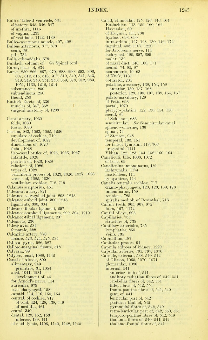 Biilli of lateral ventricle, 534 olfactory, 545, 546, 547 of uretlira, 1115 of vagina, 1233 of vestibule, 1122, 1139 Bulbo-cavernosus muscle, 407, 408 Bulbils arteriosus, 877, 879 oculi, 681 pili, 732 Bulla etliinoidalis, 679 Burdacli, column of See Spinal cord Burns, space of, 834 Bursas, 250, 266, 267, 270, 288, 290, 293, 306, 307, 312, 315, 316, 317, 319, 340, 341, 343, 348, 349, 350, 351, 358, 359, 378, 912, 983, 1051, 1130, 1212, 1214 subcutaneous, 250 subtendinous, 250 thecal, 250 Buttock, fascite of, 336 muscles of, 347, 352 I surgical anatomy of, 1209 Ctecal artery, 1030 folds, 1030 fossffi, 1030 Ccecum, 943, 1023, 1025, 1226 cupiiiai'e of cochlea, 719 development of, 1027 dimensions of, 1026 fcetal, 1028 ileo-C£ecal orifice of, 1025, 1026, 1027 infantile, 1028 position of, 1026, 1028 relations of, 1026 tribes of, 1028 vermiform process of, 1023, 1026, 1027, 1028 vessels of, 1025, 1030 vestibulare cochleae, 718, 719 Calamus scriptoriiis, 451 Calcaneal artery, 821 Calcaneo-astragaloid joint, 298, 1218 Calcaneo-cuboid joint, 300, 1218 ligaments, 300, 304 Calcaneo-fibular ligament, 297 Calcaneo-scaphoid ligaments, 299, 304, 1219 Calcaneo-tibial ligament, 297 Calcaneus, 236 Calcar avis, 534 femorale, 222 Calcarine artery, 776 fissure, 523, 524, 525, 534 Callosal gyrus, 526, 527 Calloso-marginal fissure, 518' Calvaria, 99 Calyces, renal, 1088, 1142 Canal of Alcock, 809 alimentary, 943 primitive, 31, 1054 anal, 1041, 1231 development of, 44 for Arnold's nerve, 114 auricular, 879 liasi-pharyngeal, 158 carotid, 114, 116, 160, 164 central, of cochlea, 717 of cord, 424, 428, 438, 449 of medulla, 461 crural, 340 dental, 128, 152, 153 inferior, 139, 141 of epididymis, 1106, 1140, 1142, 1145 Canal, ethmoidal, 125, 126, 146, 164 Eustachian, 113, 159, 160, 162 Haversian, 69 of Hiiguier, 111, 706 hyaloid, 693, 699 infra-orbital, 127, 128, 130, 146, 172 inguinal, 403, 1107, 1220 for Jacolison's nerve, 114 lachrymal, 129, 697, 699 malar, 132 of nasal duct, 146, 168, 171 neural, 74, 85, 87 neurenteric, 19, 63 of Nuck, 1131 oljturator, 284 palatine, accessory, 138, 154, 158 anterior, 130, 157, 168 jMsterior, 129, 130, 137, 138, 154, 157 palato-maxillary, 129 of Petit, 693 portal, 1070 pterygo-palatine, 122, 138, 154, 158 sacral, 84 of Schlemm, 683 semicircular. See Semicircular canal sjiheno-vomerine, 136 spinal, 74 of Stenson, 948 temporal, 133, 151 for tensor tym])ani, 113, 706 urogenital, 1141 Vidian, 122, 123, 154, 158, 160, 164 Canaliculi, bile, 1068, 1072 of bone, 69 Canaliculus innominatus, 121 lachrymalis, 1174 niastoideus, 114 tympaniciis, 114 Canalis centralis cochlea', 717 cranio-pharyngeus, 120, 123, 159, 176 innominatus, 159 reuniens, 725 spiralis modioli of Eoseuthal, 716 Canine teeth, 965, 967, 972 fossa, 127, 1172 Canthi of eye, 695 Capillaries, 735 structure of, 735 Capillary arterioles, 735 lymphatics, 860 veins, 735 Capitollum, 187 Capitular process, 91 Capsula adiposa of kidney, 1229 Capsular arteries, 795, 797, 1070 Capsule, external, 538, 540, 542 of Glisson, 1065, 1070, 1071 glomerulai', 1086 internal, 541 anterior limli of, 541 auditory radiation fibres of, 542, 551 cerebellar fibres of, 542, 551 fillet fibres of, 542, 551 fronto-pontine fibres of, 541, 549 genu of, 541 lenticular part of, 542 posterior limb of, 542 pyramidal fibres of, 542, 549 retro-lenticular part of, 542, 550, 551 temporo-pontine fibres of, 542, 549 thalamic fibres of, 540, 541, 542 thalamo-frontal fibres of, 541