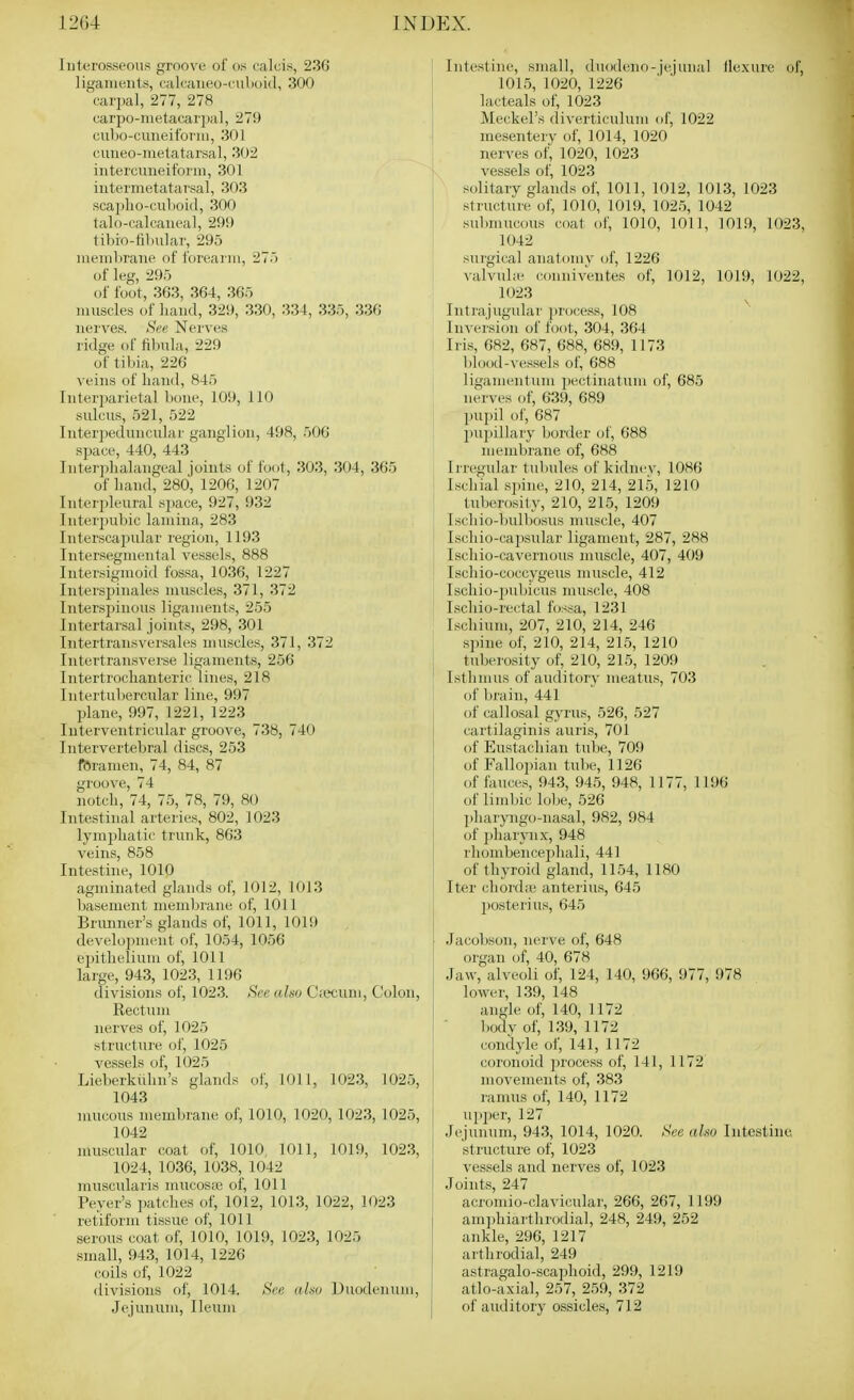 Interosseous groove of os calcis, 236 liganieiils, calcaueo-mihoid, 300 'carpal, 277, 278 carpo-metacarpal, 279 cubo-cuneilbnu, 301 cuneo-iuetatarsal, 302 intercuneiform, 301 intermetatarsal, 303 scaplio-cuboid, 300 lalo-calcaneal, 29!) tibio-tilmlar, 295 nienil)raue of forearm, 27.) of leg, 295 of foot, 3G3, 364, 365 muscles of hand, 329, 330, 334, 335, 336 nerves. See Nerves ridge of fibula, 229 of tibia, 226 veins of Land, 845 Interimrietal bone, 109, 110 sulcus, 521, 522 Interpeduncular ganglion, 498, 506 space, 440, 443 Interplialangeal joints of font, 303, 304, 365 of hand, 280, 1206, 1207 Interpleural space, 927, 932 Interpubic lamina, 283 Interscapular region, 1193 Intersegmental vessels, 888 Intersigmoid fossa, 1036, 1227 Interspinales muscles, 371, 372 Interspinous ligaments, 255 Intertarsal joints, 298, 301 Intertransversales muscles, 371, 372 Intertransverse ligaments, 256 Intertrochanteric lines, 218 Intertubercular line, 997 plane, 997, 1221, 1223 Interventricular groove, 738, 740 Intervertebral discs, 253 foramen, 74, 84, 87 groove, 74 notch, 74, 75, 78, 79, 80 Intestinal arteries, 802, 1023 lymphatic trunk, 863 veins, 858 Intestine, 1010 agminated glands of, 1012, 1013 basement membrane of, 1011 Brunner's glands of, 1011, 1019 develo])ment of, 1054, 1056 epithelium of, 1011 large, 943, 1023, 1196 divisions of, 1023. Sec also Ciecum, Colon, Rectum nerves of, 1025 structui'e of, 1025 vessels of, 1025 Lieberkiihn's glands of, 1011, 1023, 1025, 1043 mucous memlirane of, 1010, 1020, 1023, 1025, 1042 muscular coat of, 1010, 1011, 1019, 1023, 1024, 1036, 1038, 1042 muscularis niucoscc of, 1011 Fever's i)atches of, 1012, 1013, 1022, 1023 retiform tissue of, 1011 serous coat of, 1010, 1019, 1023, 1025 small, 943, 1014, 1226 coils of, 1022 divisions of, 1014. See also Duodenum, Jejunum, Ileum Intestine, small, duodeno-jejunal lie.xure of, 101.5, 1020, 1226 lacteals of, 1023 Meckel's diverticulum of, 1022 mesentery of, 1014, 1020 nerves of, 1020, 1023 vessels of, 1023 solitary glands of, 1011, 1012, 1013, 1023 structure of, 1010, 1019, 1025, 1042 sulmuicous coat of, 1010, 1011, 1019, 1023, 1042 I sui'gical anatomy of, 1226 1 valvulie conniventes of, 1012, 1019, 1022, 1023 Intrajugular ])roc.ess, 108 Inversion of foot, 304, 364 Iris, 682, 687, 688, 689, 1173 blood-vessels of, 688 ligamentum pectinatum of, 685 nerves of, 639, 689 ]iupil of, 687 ' pujiillary border of, 688 membrane of, 688 li'regular tubules of kidnev, 1086 i Ischial spine, 210, 214, 21.5, 1210 I tuberosity, 210, 215, 1209 I Lschio-bulbosus muscle, 407 I Iscliio-capsular ligament, 287, 288 \ Ischio-cavernous muscle, 407, 409 I Ischio-coccygeus muscle, 412 Ischio-pubicus muscle, 408 Ischio-rectal fossa, 1231 Ischium, 207, 210, 214, 246 spine of, 210, 214, 215, 1210 tuberosity of, 210, 215, 1209 Isthmus of auditory meatus, 703 ! of brain, 441 I of callosal gyrus, 526, 527 cartilaginis auris, 701 of Eustachian tube, 709 of Fallopian tube, 1126 of fauces, 943, 94.5, 948, 1177, 1196 of limbic lobe, 526 pharpigo-nasal, 982, 984 of ])haryu.x, 948 rhombencejihali, 441 of thyroid gland, 1154, 1180 Iter cliord;e anterius, 645 l)osterius, 645 Jacobson, nerve of, 648 organ of, 40, 678 Jaw, alveoli of, 124, 140, 966, 977, 978 lower, 139, 148 angle of, 140, 1172 l)odv of, 139, 1172 condyle of, 141, 1172 coronoid ])rocess of, 141, 1172 movements of, 383 ramus of, 140, 1172 upper, 127 Jejunum, 94.3, 1014, 1020. See also Intestine structure of, 1023 vessels and nerves of, 1023 Joints, 247 acromio-clavicular, 266, 267, 1199 am])hiarthrodial, 248, 249, 252 ankle, 296, 1217 arthrodial, 249 astragalo-scaphoid, 299, 1219 j atlo-axial, 257, 2.59, 372 of auditory ossicles, 712