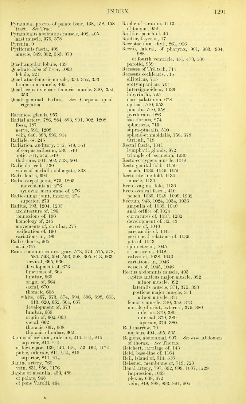 Pyramidal i)rocess of palate hoiw, 138, 152, 158 [ tract. See Tract Pyramidalis abdominis muscle, 402, 405 ; nasi muscle, 376, 378 Pyrenin, 9 Pyriformis fascia, 409 ^iiusele, 349, 352, 353, 373 Quadrangular lobule, 469 Quadrate lobe of liver, 1063 lobule, 521 Quadratus fenioris muscle, 350, 352, 353 , lumborum muscle, 405 Quadriceps extensor femoris muscle, 340, 352, 353 Quadrigeniinal bodies. See Corpora quad- rigemina Racemose glands, 957 Radial artery, 786, 884, 893, 901, 902, 1208 fossa, 187 nerve, 591, 1208 vein, 846, 888, 895, 904 Radiale, os, 245 Radiation, auditory, 542, 549, 551 of corpus callosnm, 530, 546 optic, 511, 542, 549 thalamic, 501, 502, 503, 504 Radicular cells, 430 veins of medulla oblongata, 838 Radii lentis, 694 Radio-carpal joint, 275, 1205 movements at, 276 i synovial membrane of, 276 Radio-ulnar joint, inferior, 274 superior, 273 Radius, 193, 1204, 1205 arcliitecture of, 196 connexions of, 196 homology of, 245 movements of, on ulna, 275 ossification of, 196 variations in, 196 Radix dentis, 965 nasi, 675 Rami communicantes, gray, 573, 574, 575, 578, 580, 593, 594, 596, 598, 605, 613, 663 cervical, 665, 666 development of, 673 functions of, 664 lumbar, 669 origin of, 664 sacral, 670 thoracic, 668 white, 567, 573, 574, 594, 596, 598, 605, 613, 620, 662, 664, 667 development of, 673 lumbar, 669 origin of, 662, 663 sacral, 662 thoracic, 667, 668 thoracico-lnmbar, 662 Ramus of ischium, inferior, 210, 214, 215 superior, 210, 214 of lower jaw, 139, 140, 142, 153, 162, 1172 pubic, inferior, 211, 214, 215 superior, 211, 214 Ranine artery, 760 vein, 831, 956, 1176 Raphe of medulla, 453, 488 of palate, 948 of pons Varolii, 464 I Raphe of scrotum, 1113 of tongue, 952 > Rathke, pouch of, 40 Rauber, layer of, 17 Receptaculum chyli, 861, 906 Recess, lateral, ot jiharynx, 981, 983, 984, 988 of fourth ventricle, 451, 473, 560 jjarotid, 959 Recesses of Troltsch, 714 Recessus cochlearis, 715 ^ ellipticu.s, 715 ejiitympanicus, 704 intersigmoidens, 1036 labyrinthi, 725 naso-i3alatinum, 678 opticus, 510, 553 pinealis, 510, 552 pyriformis, 986 sacciformis, 274 sphsericus, 715 supra-pinealis, 510 sj^lieno-ethmoidalis, 168, 678 utriculi, 718 Rectal fascia, 1041 lymphatic glands, 872 triangle of perineum, 1230 Recto-coccygeus muscle, 1042 Recto-genital folds, 1050 pouch, 1039, 1049, 1050 Recto-uterine fold, 1130 muscle, 1130 i Recto-vaginal fold, 1130 Recto-vesical fascia, 410 pouch, 1039, 1049, 1099, 1232 Rectum, 943, 1024, 1034, 1036 ampulla of, 1039, 1040 anal orifice of, 1024 curvatures of, 1037, 1232 development of, 32, 43 nerves of, 1046 pars analis of, 1041 peritoneal relations of, 1039 pits of, 1043 sphincter of, 1045 structure of, 1042 valves of, 1038, 1043 variations in, 1046 vessels of, 1045, 1046 Rectus abdominis muscle, 403 capitis anticus major muscle, 392 minor muscle, 392 lateralis muscle, 371, 372, 393 23osticus major muscle, 371 minor muscle, 371 femoris muscle, 340, 352, 373 muscle of orbit, external, 379, 380 inferior, 379, 380 internal, 379, 380 superior, 379, 380 Red marrow, 70 nucleus, 494, 495, 505 Regions, al:)dominal, 997. See a.ho Abdomen of thorax. See Thorax i Reichert, cartilage of, 143 1 Reid, base-line of, 1164 Reil, island of, 514, 516 Reissner, membrane of, 719, 720 Renal artery, 797, 892, 899, 1087, 1229 impression, 1063 ])lexus, 668, 672 vein, 849, 888, 893, 894, 905