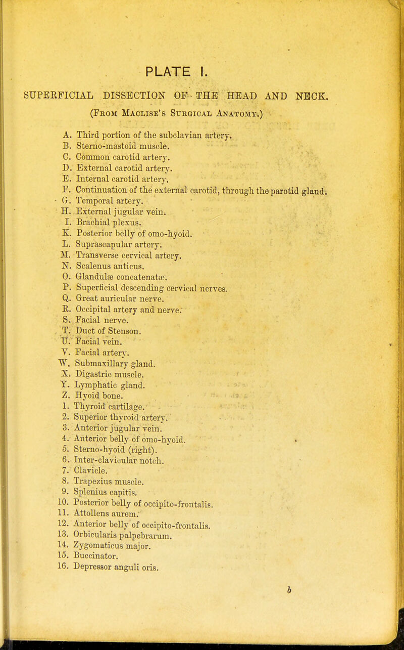 SUPERFICIAL DISSECTION OF • THE HEAD AND NECK. (From Maclise's Surgical Anatomy.) A. Third portion of the subclavian artery. B. Sterno-mastoid muscle. C. Common carotid artery. D. External carotid arteiy. E. Internal carotid artery. F. Continuation of the external carotid, through the parotid gland. • Gr. Temporal artery. H. External jugular vein. I. Brachial plexus. K. Posterior belly of omo-hyoid. L. Suprascapular artery. M. Transverse cervical artery. N. Scalenus anticus. 0. Glandulee concatenatae. P. Superficial descending cervical nerves. Q. Great auricular nerve. E. Occipital artery and nerve. S. Facial nerve. T. Duct of Stenson. U. Facial vein. V. Facial artery. W. Submaxillary gland. X. Digastric muscle. T. Lymphatic gland. Z. Hyoid bone. I. Thyroid cartilage. 2. Superior thyroid artery. 3. Anterior jugular vein. 4. Anterior belly of omo-hyoid. 5. Sterno-hyoid (right). 6. Inter-clavicular notch. 7. Clavicle. 8. Trapezius muscle. 9. Splenius capitis. 10. Posterior belly of occipito-frontalis. 11. Attollens aurem. 12. Anterior belly of occipito-frontalis. 13. Orbicularis palpebrarum. 14. Zygomaticus major. 15. Buccinator. 16. Depressor anguli oris. b