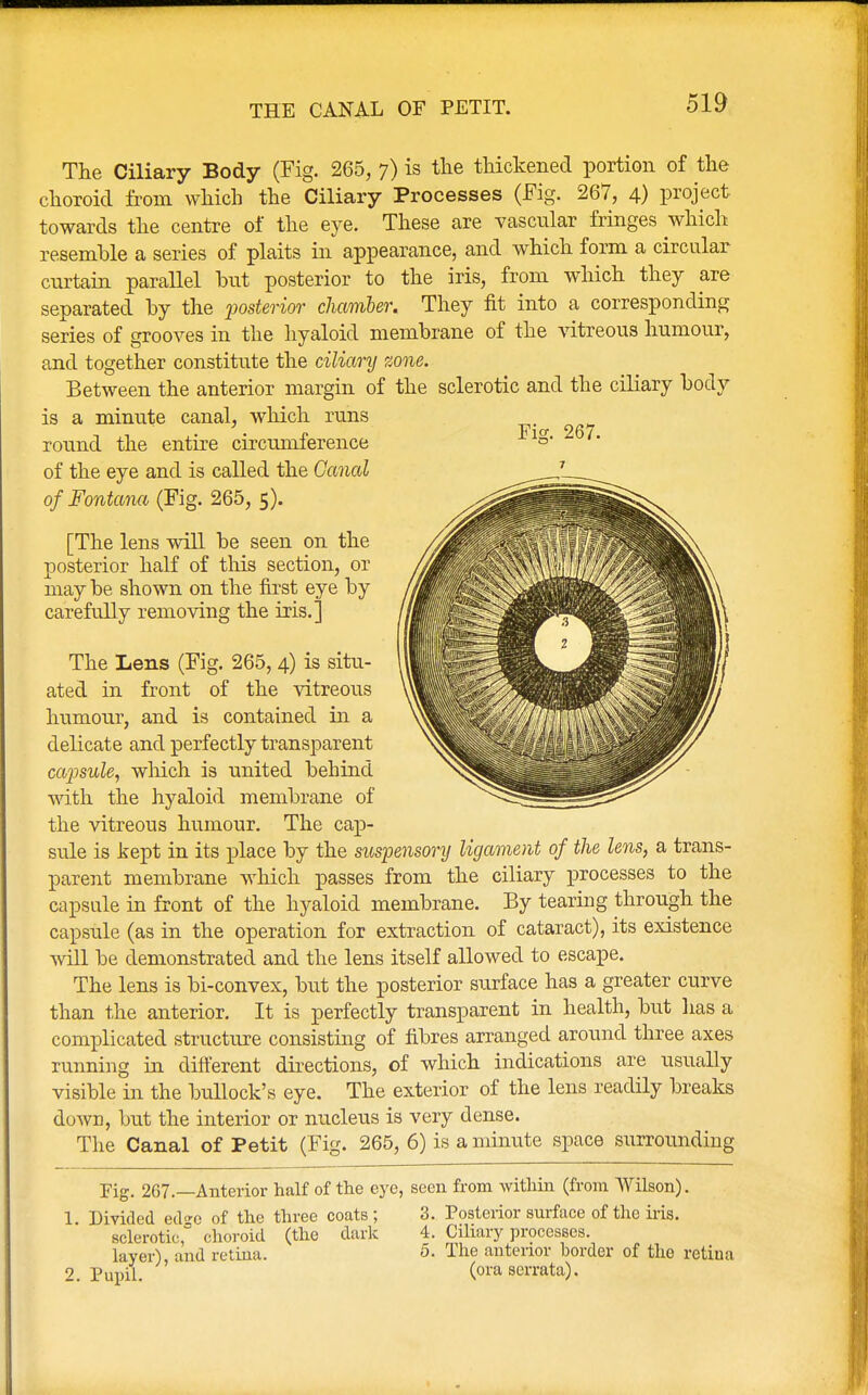 THE CANAL OF PETIT. The Ciliary Body (Fig. 265, 7) is the thickened portion of the choroid from which the Ciliary Processes (Fig. 267, 4) project towards the centre of the eye. These are vascular fringes which resemble a series of plaits in appearance, and which form a circular curtain parallel but posterior to the iris, from which they are separated by the -posterior chamber. They fit into a corresponding series of grooves in the hyaloid membrane of the vitreous humour, and together constitute the ciliary zone. Between the anterior margin of the sclerotic and the ciliary body is a minute canal, which runs round the entire circumference of the eye and is called the Canal of Fontanel (Fig. 265, 5). [The lens will be seen on the posterior half of this section, or may be shown on the first eye by carefully removing the iris.] The Lens (Fig. 265, 4) is situ- ated in front of the vitreous humour, and is contained in a delicate and perfectly transparent capsule, which is united behind with the hyaloid membrane of the vitreous humour. The cap- sule is kept in its place by the suspensory ligament of the lens, a trans- parent membrane which passes from the ciliary processes to the capsule in front of the hyaloid membrane. By tearing through the capsule (as in the operation for extraction of cataract), its existence will be demonstrated and the lens itself allowed to escape. The lens is bi-convex, but the posterior surface has a greater curve than the anterior. It is perfectly transparent in health, but lias a complicated structure consisting of fibres arranged around three axes running in different directions, of which indications are usually visible in the bullock's eye. The exterior of the lens readily breaks down, but the interior or nucleus is very dense. The Canal of Petit (Fig. 265, 6) is a minute space surrounding Eig. 267.—Anterior half of the eye, seen from within (from Wilson). 1 Divided ed<*o of the three coats; 3. Posterior surface of the iris. sclerotic,3 choroid (the dark 4. Ciliary processes. layer), and retina. 5. The anterior border of the retina 2. Pupil. (ora serrata).