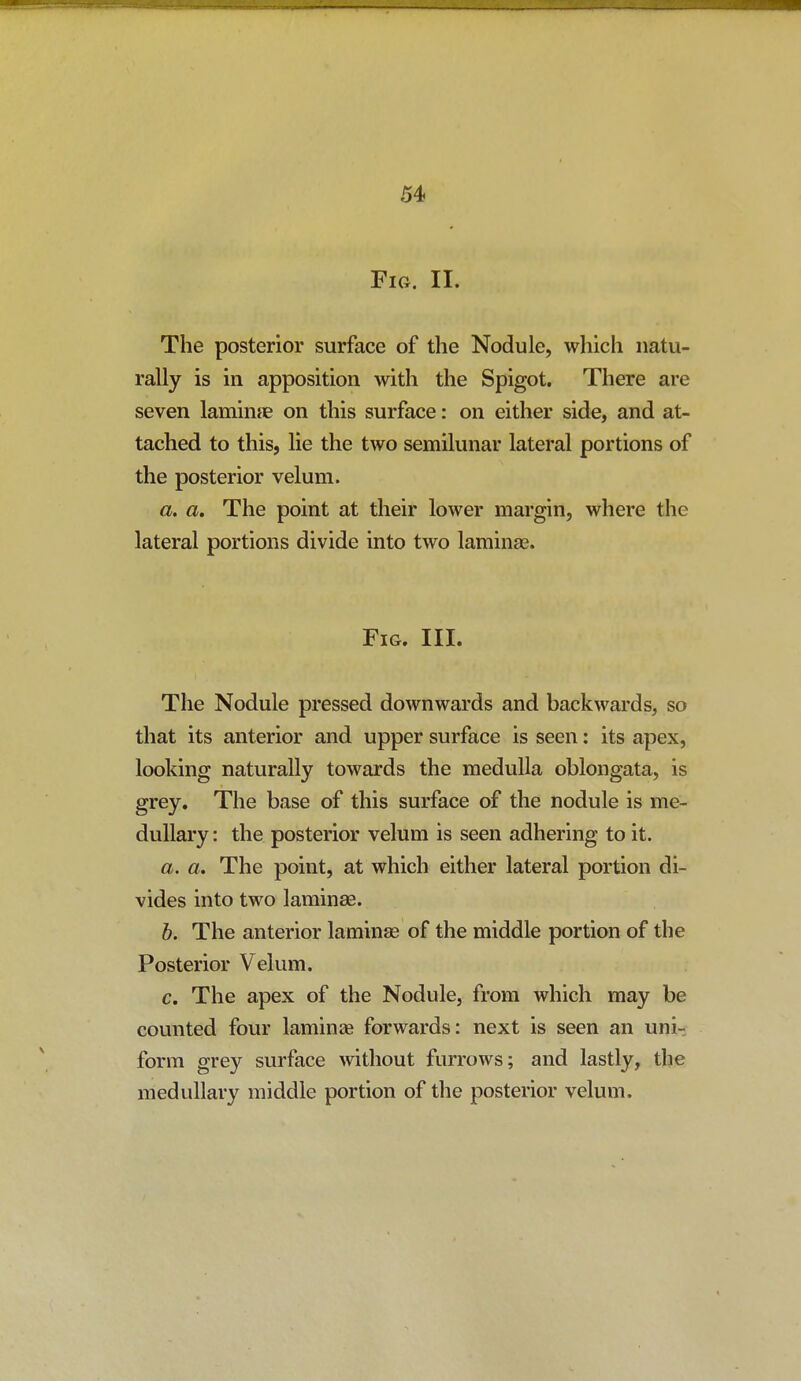 Fig. 11. The posterior surface of the Nodule, which natu- rally is in apposition with the Spigot. There are seven laminae on this surface: on either side, and at- tached to this, lie the two semilunar lateral portions of the posterior velum. a. a. The point at their lower margin, where the lateral portions divide into two laminae. Fig. III. The Nodule pressed downwards and backwards, so that its anterior and upper surface is seen: its apex, looking naturally towards the medulla oblongata, is grey. The base of this surface of the nodule is me- dullary : the posterior velum is seen adhering to it. a. a. The point, at which either lateral portion di- vides into two laminae. b. The anterior lamin£E of the middle portion of the Posterior Velum. c. The apex of the Nodule, from which may be counted four laminae forwards: next is seen an uni- form grey surface without furrows; and lastly, the medullary middle portion of the posterior velum.