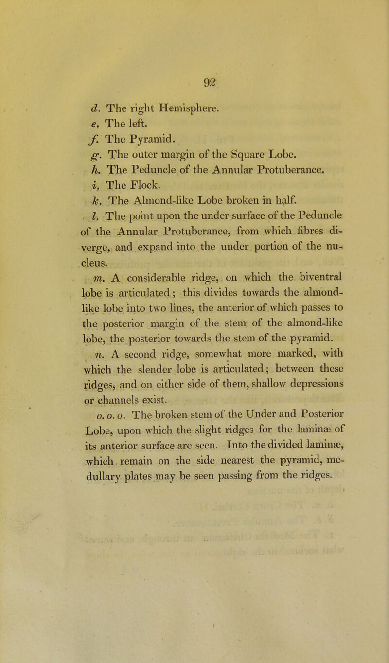 d. The right Hemisphere. The left, y. The Pyramid. g. The outer margin of the Square Lobe. h. The Peduncle of the Annular Protuberance. i. The Flock. 7c. The Almond-like Lobe broken in half. I. The point upon the under surface of the Peduncle of the Annular Protuberance, from which fibres di- verge, and expand into the under portion of the nu- cleus. m. A considerable ridge, on which the biventral lobe is articulated; this divides towards the almond- hke lobe into two lines, the anterior of which passes to the posterior margin of the stem of the almond-like lobe, the posterior towards the stem of the pyramid. n. A second ridge, somewhat more marked, with which the slender lobe is articulated; between these ridges, and on either side of them, shallow depressions or channels exist. o. o. o. The broken stem of the Under and Posterior Lobe, upon which the slight ridges for the laminae of its anterior surface are seen. Into the divided laminae, which remain on the side nearest the pyramid, me- dullary plates may be seen passing from the ridges.