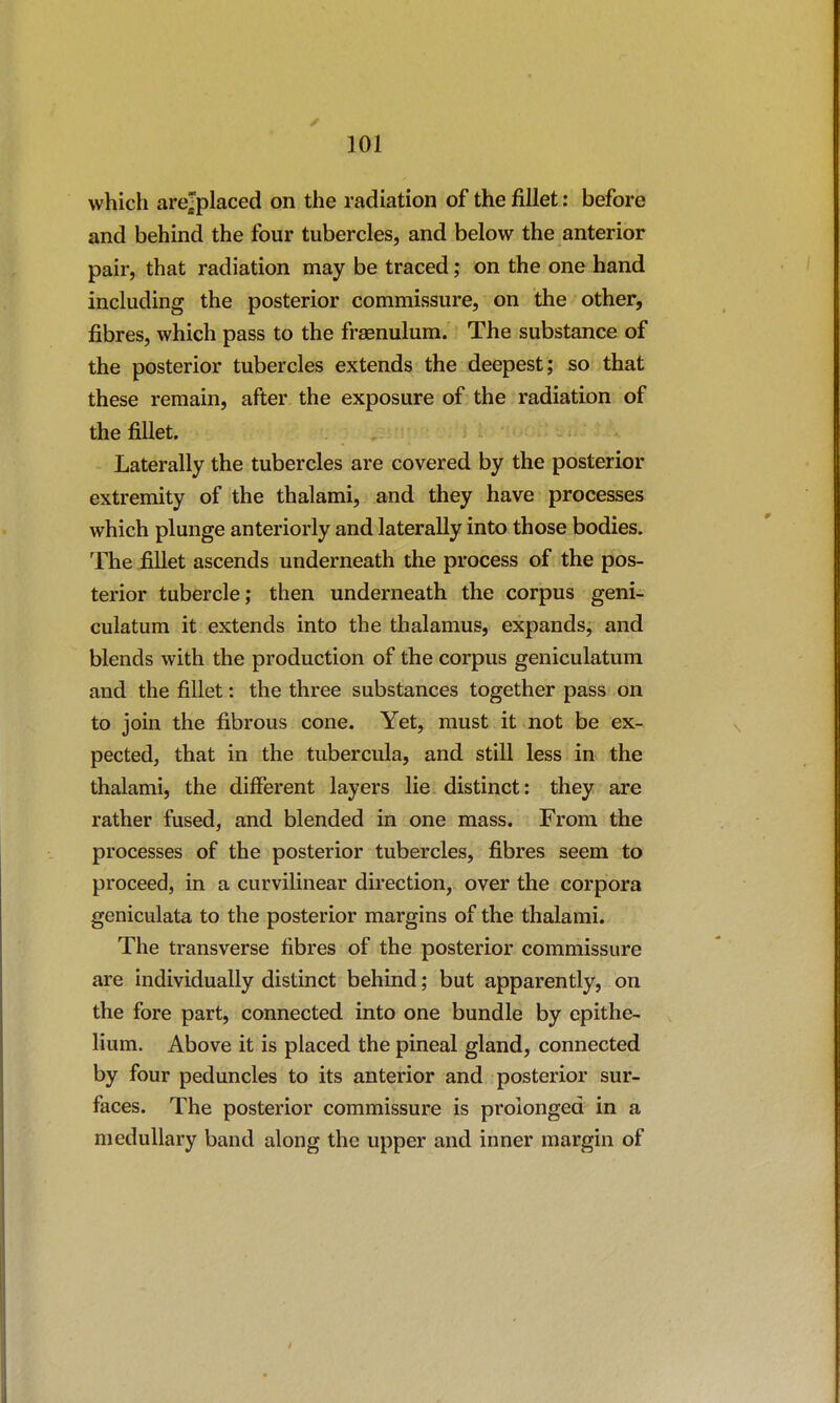 which arejplaced on the radiation of the fillet: before and behind the four tubercles, and below the anterior pair, that radiation may be traced; on the one hand including the posterior commissure, on the other, fibres, which pass to the fraenulum. The substance of the posterior tubercles extends the deepest; so that these remain, after the exposure of the radiation of the fillet. Laterally the tubercles are covered by the posterior extremity of the thalami, and they have processes which plunge anteriorly and laterally into those bodies. The fillet ascends underneath the process of the pos- terior tubercle; then underneath the corpus geni- culatum it extends into the thalamus, expands, and blends with the production of the corpus geniculatum and the fillet: the three substances together pass on to join the fibrous cone. Yet, must it not be ex- pected, that in the tubercula, and still less in the thalami, the different layers lie distinct: they are rather fused, and blended in one mass. From the processes of the posterior tubercles, fibres seem to proceed, in a curvilinear direction, over the corpora geniculata to the posterior margins of the thalami. The transverse fibres of the posterior commissure are individually distinct behind; but apparently, on the fore part, connected into one bundle by epithe- lium. Above it is placed the pineal gland, connected by four peduncles to its anterior and posterior sur- faces. The posterior commissure is prolonged in a medullary band along the upper and inner margin of