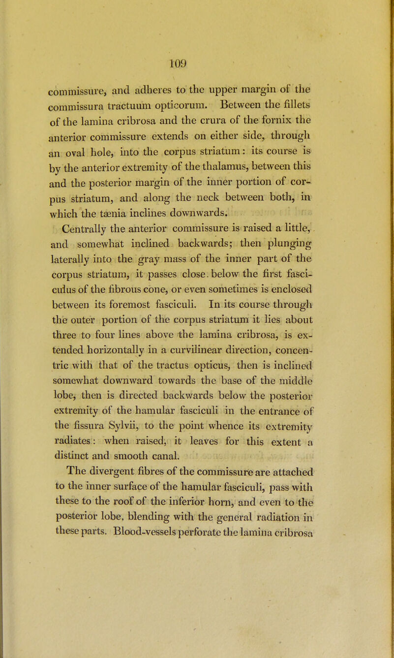 commissure, and adheres to the upper margin of the commissura tractuum opticorum. Between the fillets of the lamina cribrosa and the crura of the fornix the anterior commissure extends on either side, through an oval hole, into the corpus striatum: its course is by the anterior extremity of the thalamus, between this and the posterior margin of the inner portion of cor- pus striatum, and along the neck between both, in which the taenia inclines downwards. Centrally the anterior commissure is raised a little, and somewhat inclined backwards; then plunging laterally into the gray mass of the inner part of the corpus striatum, it passes close, below the first fasci- culus of the fibrous cone, or even sometimes is enclosed between its foremost fasciculi. In its course through the outer portion of the corpus striatum it lies about three to four lines above the lamina cribrosa, is ex- tended horizontally in a curvilinear direction, concen- tric with that of the tractus opticus, then is inclined somewhat downward towards the base of the middle lobe, then is directed backwards below the posterior extremity of the hamular fasciculi in the entrance of the fissura Sylvii, to the point whence its extremity radiates : when raised, it leaves for this extent a distinct and smooth canal. The divergent fibres of the commissure are attached to the inner surface of the hamular fasciculi, pass with these to the roof of the inferior horn, and even to the posterior lobe, blending with the general radiation in these parts. Blood-vessels perforate the lamina cribrosa