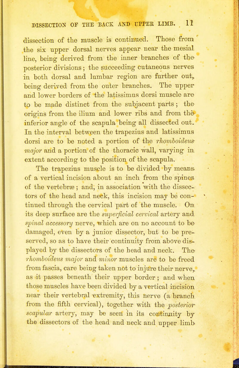 dissection of tlie muscle is continiiecl. Those from  the six upper dorsal nerves appear near the mesial line, being derived from the inner branches of the- posterior divisions; the succeeding cutaneous nerves in both dorsal and lumbar region are farther out^ heing derived from the outer branches. The upper and lower borders of the latissimus dorsi muscle are to be made distinct from the subjacent parts ; the- origins from the ilium and lower ribs and from the- inferior angle of the scapula being all dissected out. In the interval between the trapezius and latissimus dorsi are to be noted a portion of the rJiomloideus- major and a portion of the thoracic wall, varying in. extent according to the position of the scapula. The trapezius muscle is to be divided bj means- of a vertical incision about an inch from the spines of the vertebrae ; and, in association with the dissec- tors of the head and neck, this incision may be con- tinued through the cervical part of the muscle. Oil its deep surface are the su])erficial cervical artery and spinal accessor!) nerve, which are on no account to be damaged, even by a junior dissector, but to be pre- served, so as to have their continuity from above dis- played by the dissectors of the head and neck. The rhomhoideus major and minor muscles are to be freed from fascia, care being taken not to injure their nerve,, as it passes beneath their upper border; and when those muscles have been divided by a vertical incision near their vertebral -extremity, this nerve (a branch from the fifth cervical), together with the posterior scapular artery, may be seen in its continjiity by the dissectors of the head and neck and upper limb