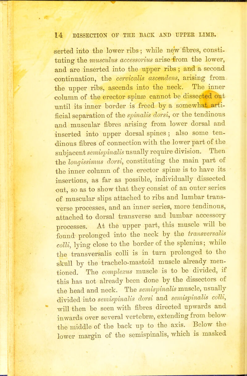 serted into the lower ribs: while new fibres, consti- tuting the musculus accessorius arise from the lower, and are inserted into the upper ribs ; and a second ■continuation, the cervicalis ascendens, arising from the upper ribs, ascends into the neck. The inner oolumn of the erector spinte cannot be dissected out until its inner border is freed by a somewhat, arti- ficial separation of the spinalis clorsi, or the tendinous and muscular fibres arising from lower dorsal and inserted into upper dorsal spines ; also some ten- dinous fibres of connection with the lower part of the subjacent semisimialis usually require division. Then the longissimus clorsi, constituting the main part of the inner column of the erector spinae is to have its insertions, as far as possible, individually dissected out, so as to show that they consist of an outer series of muscular slips attached to ribs and lumbar trans- verse processes, and an inner series, more tendinous, attached to dorsal transverse and lumbar accessory processes. At the upper part, this muscle will be found- prolonged into the neck by the trmisversaUs colli, lying close to the border of the splenius; while the transversalis colh is in turn prolonged to the skull by the trachelo-mastoid muscle already men- tioned. The complexus muscle is to be divided, if this has not already been done by the dissectors of the head and neck. The semisinnalis muscle, usually divided into semispinalis clorsi and semispinalis colli, will then be seen with fibres directed upwards and inwards over several vertebree, extending from below the middle of the back up to the axis. Below the lower margin of the semispinalis, which is masked