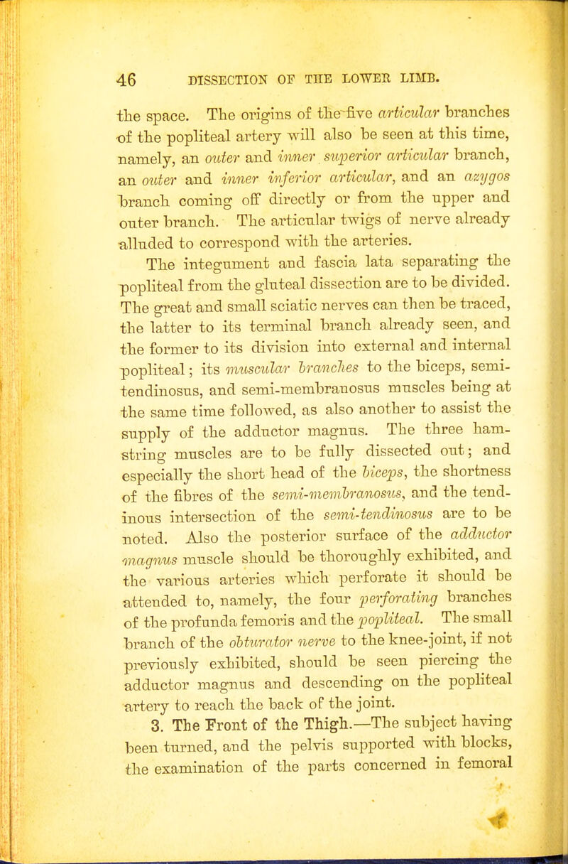 the space. The origins of the^five articular branches •of the popliteal artery will also be seen at this time, namely, an outer and inner sui^erior articular branch, an outer and inner inferior articular, and an azygos branch coming off directly or from the upper and outer branch. The articular twigs of nerve already alluded to correspond with the arteries. The integument and fascia lata separating the popliteal from the gluteal dissection are to be divided. The great and small sciatic nerves can then be traced, the latter to its terminal branch already seen, and the former to its division into external and internal popliteal; its muscular hranclies to the biceps, semi- tendinosus, and semi-membranosus muscles being at the same time followed, as also another to assist the supply of the adductor magnus. The three ham- string muscles are to be fully dissected out; and especially the short head of the UceiJs, the shortness of the fibres of the semi-memlranosus, and the tend- inous intersection of the semi-tendinosus are to be noted. Also the posterior surface of the adductor magnus muscle should be thoroughly exhibited, and the various arteries which perforate it should be attended to, namely, the four iierforating branches of the profunda femoris and the ijopliteal. The small branch of the oUurator nerve to the knee-joint, if not previously exhibited, should be seen piercing the adductor magnus and descending on the pophteal artery to reach the back of the joint. 3. The Front of the Thigh.—The subject having been turned, and the pelvis supported with blocks, the examination of the parts concerned in femoral 4