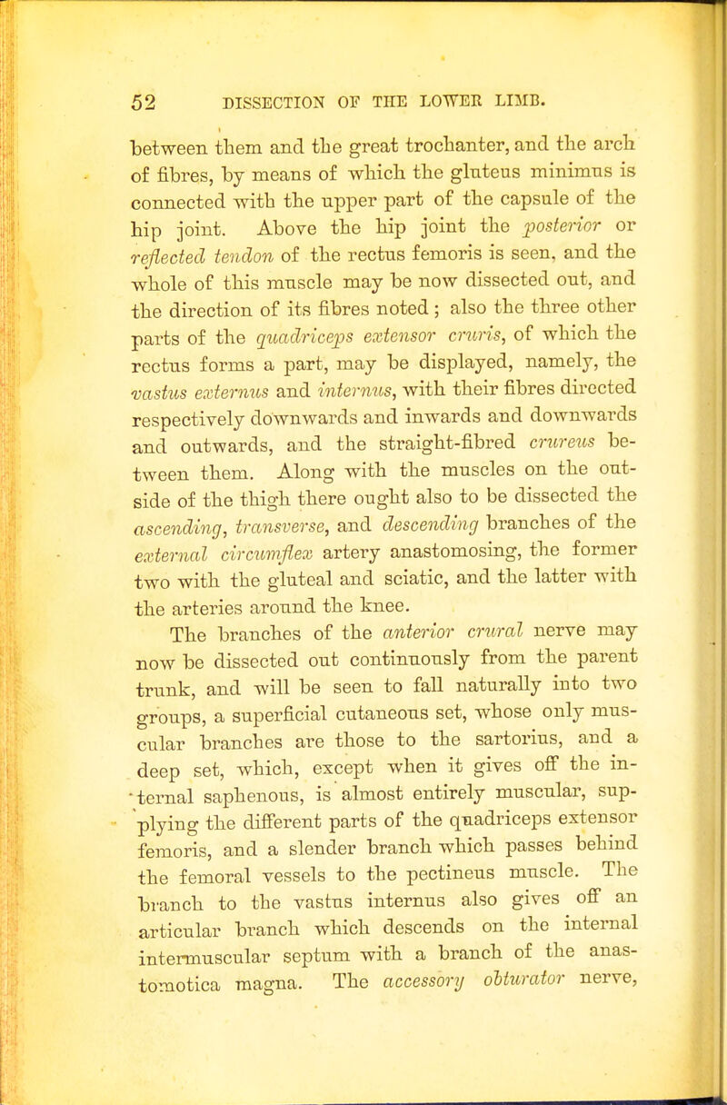 between tliem and tbe great troclianter, and the arcli of fibres, hj means of wliicb tbe gluteus minimus is connected with the upper part of the capsule of the hip joint. Above the hip joint the ijosterior or reflected tendon of the rectus femoris is seen, and the whole of this muscle may be now dissected out, and the direction of its fibres noted; also the three other parts of the quadrieeiDS extensor cruris, of which the rectus forms a part, may be displayed, namely, the vastus externus and internus, with their fibres directed respectively downwards and inwards and downwards and outwards, and the straight-fibred crureus be- tween them. Along with the muscles on the out- side of the thigh there ought also to be dissected the ascending, transverse, and descending branches of the external circumflex artery anastomosing, the former two with the gluteal and sciatic, and the latter with the arteries around the knee. The branches of the anterior crural nerve may now be dissected out continuously from the parent trunk, and will be seen to fall naturally into two groups, a superficial cutaneous set, whose only mus- cular branches are those to the sartorius, and a deep set, which, except when it gives off the in- •ternal saphenous, is almost entirely muscular, sup- plying the different parts of the quadriceps extensor femoris, and a slender branch which passes behind the femoral vessels to the pectineus muscle. The branch to the vastus internus also gives off an articular branch which descends on the internal intermuscular septum with a branch of the anas- tomotica magna. The accessory oUurator nerve,
