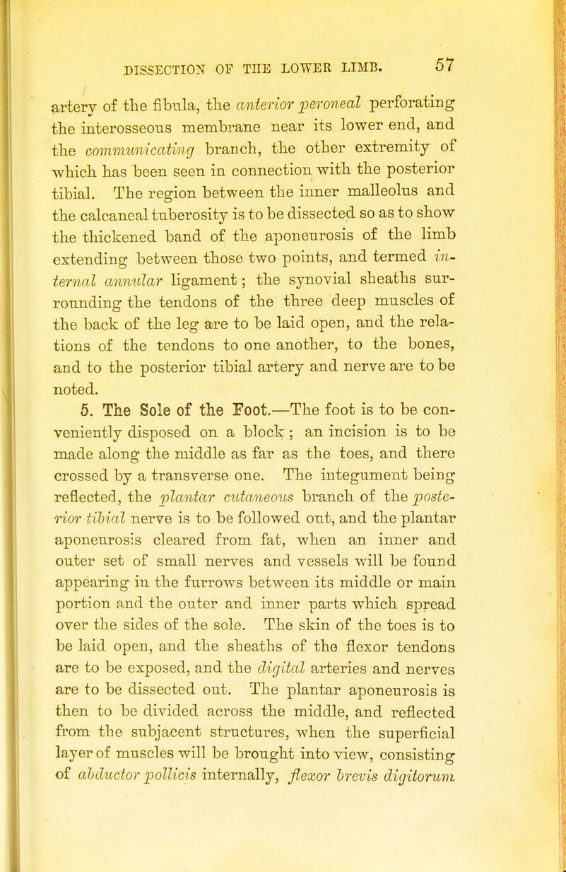 artery of the fibula, tlie anterior peroneal perforating the interosseous membrane near its lower end, and tlie communicating braDcli, the other extremity of which has been seen in connection with the posterior tibial. The region between the inner malleolus and the calcaneal tuberosity is to be dissected so as to show the thickened band of the aponeurosis of the limb extending between those two points, and termed in- ternal annular ligament; the synovial sheaths sur- rounding the tendons of the three deep muscles of the back of the leg are to be laid open, and the rela- tions of the tendons to one another, to the bones, and to the posterior tibial artery and nerve are to be noted. 5. The Sole of the Foot.—The foot is to be con- veniently disposed on a block ; an incision is to be made along the middle as far as the toes, and there crossed by a transverse one. The integument being reflected, the plantar cutaneous branch of the poste- rior tibial nerve is to be followed out, and the plantar aponeurosis cleared from fat, when an inner and outer set of small nerves and vessels will be found appearing in the furrows between its middle or main portion and the outer and inner parts which spread over the sides of the sole. The skin of the toes is to be laid open, and the sheaths of the flexor tendons are to be exposed, and the digital arteries and nerves are to be dissected out. The plantar aponeurosis is then to be divided across the middle, and reflected from the subjacent structures, when the superficial layer of muscles will be brought into view, consisting of abductor poinds internally, flexor hrevis digitorum
