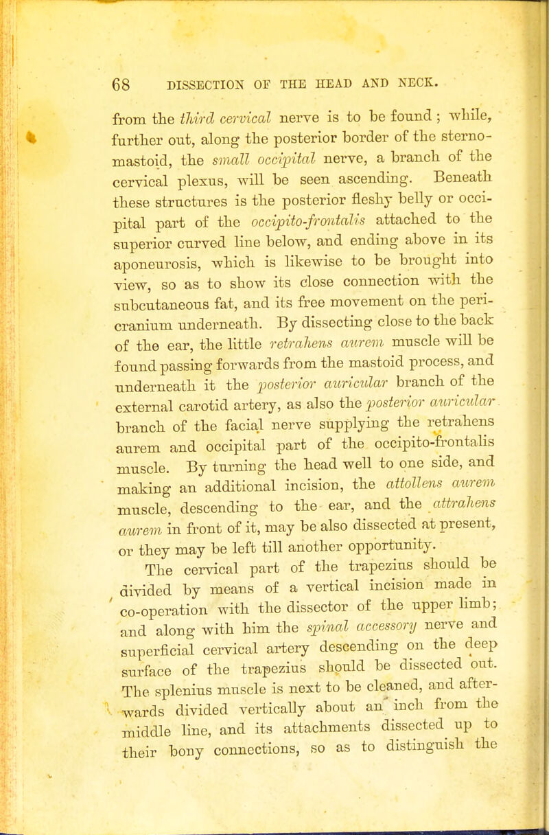 from the tliird cervical nerve is to be found; -while, further out, along the posterior border of the sterno- mastoid, the small occipital nerve, a branch of the cervical plexus, will be seen ascending. Beneath these structures is the posterior fleshy belly or occi- pital part of the occipito-frontalis attached to the superior curved line below, and ending above in its aponeurosis, which is likewise to be brought into view, so as to show its close connection with the subcutaneous fat, and its free movement on the peri- cranium underneath. By dissecting close to the back of the ear, the little retrahens aurem muscle will be found passing forwards from the mastoid process, and underneath it the posterior auricular branch of the external carotid artery, as also fhe posterior auricular. branch of the facial nerve supplying the retrahens aurem and occipital part of the occipito-frontalis muscle. By turning the head well to one side, and making an additional incision, the attollens aurem muscle, descending to the ear, and the attraliens aurem in front of it, may be also dissected at present, or they may be left till another opportunity. The cervical part of the trapezius should be divided by means of a vertical incision made in ' co-operation with the dissector of the upper limb; and along with him the spinal accessory nerve and superficial cervical artery descending on the deep surface of the trapezius should be dissected out. The splenius muscle is next to be cleaned, and after- wards divided vertically about an inch from the middle line, and its attachments dissected up to their bony connections, so as to distinguish the