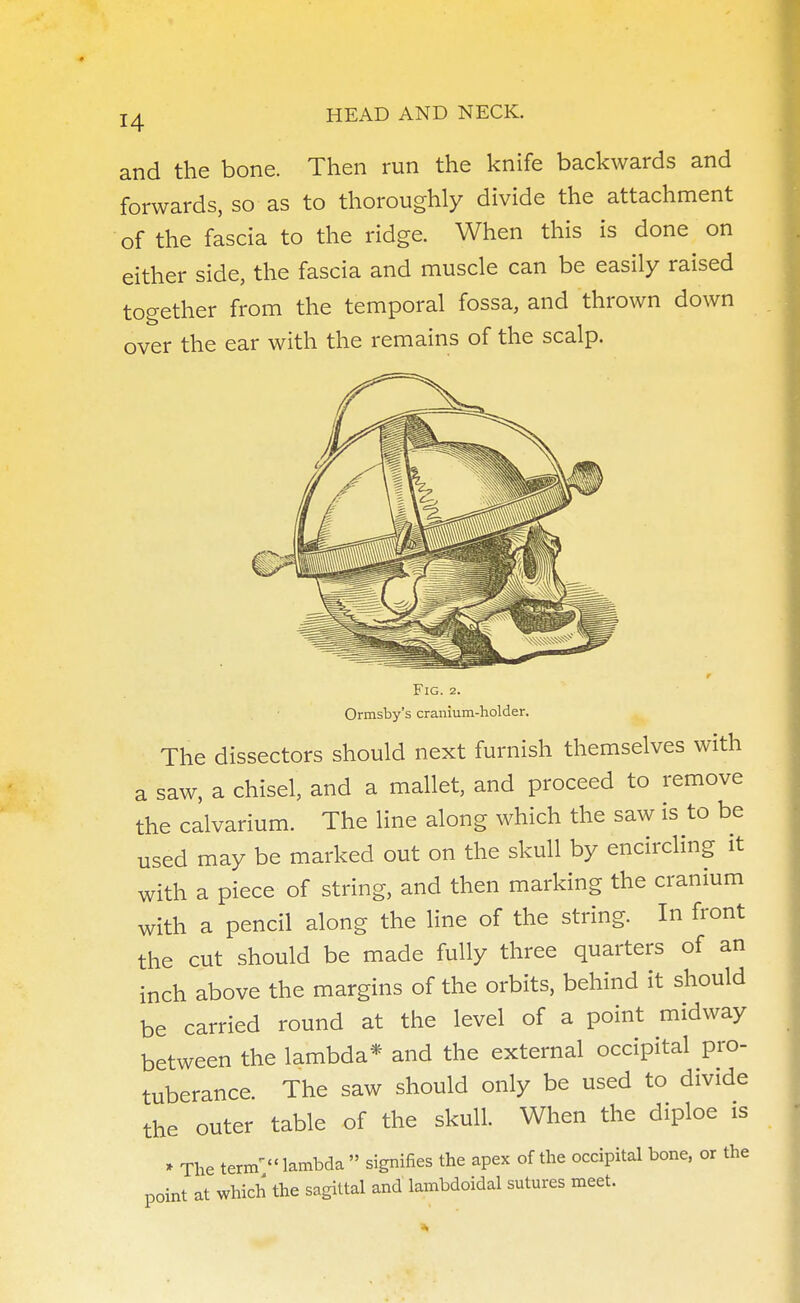 and the bone. Then run the knife backwards and forwards, so as to thoroughly divide the attachment of the fascia to the ridge. When this is done on either side, the fascia and muscle can be easily raised together from the temporal fossa, and thrown down over the ear with the remains of the scalp. Fig. 2. Ormsby's cranium-holder. The dissectors should next furnish themselves with a saw, a chisel, and a mallet, and proceed to remove the calvarium. The line along which the saw is to be used may be marked out on the skull by encircling it with a piece of string, and then marking the cranium with a pencil along the line of the string. In front the cut should be made fully three quarters of an inch above the margins of the orbits, behind it should be carried round at the level of a point midway between the lambda* and the external occipital pro- tuberance. The saw should only be used to divide the outer table of the skull. When the diploe is * The terrrT lambda signifies the apex of the occipital bone, or the point at which the sagittal and lambdoidal sutures meet.