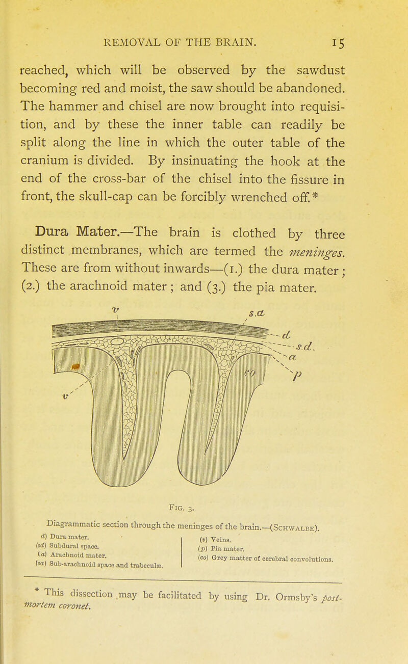 reached, which will be observed by the sawdust becoming red and moist, the saw should be abandoned. The hammer and chisel are now brought into requisi- tion, and by these the inner table can readily be split along the line in which the outer table of the cranium is divided. By insinuating the hook at the end of the cross-bar of the chisel into the fissure in front, the skull-cap can be forcibly wrenched off. * Dura Mater—The brain is clothed by three distinct membranes, which are termed the meninges. These are from without inwards—(1.) the dura mater • (2.) the arachnoid mater; and (3.) the pia mater. mortem coronet.