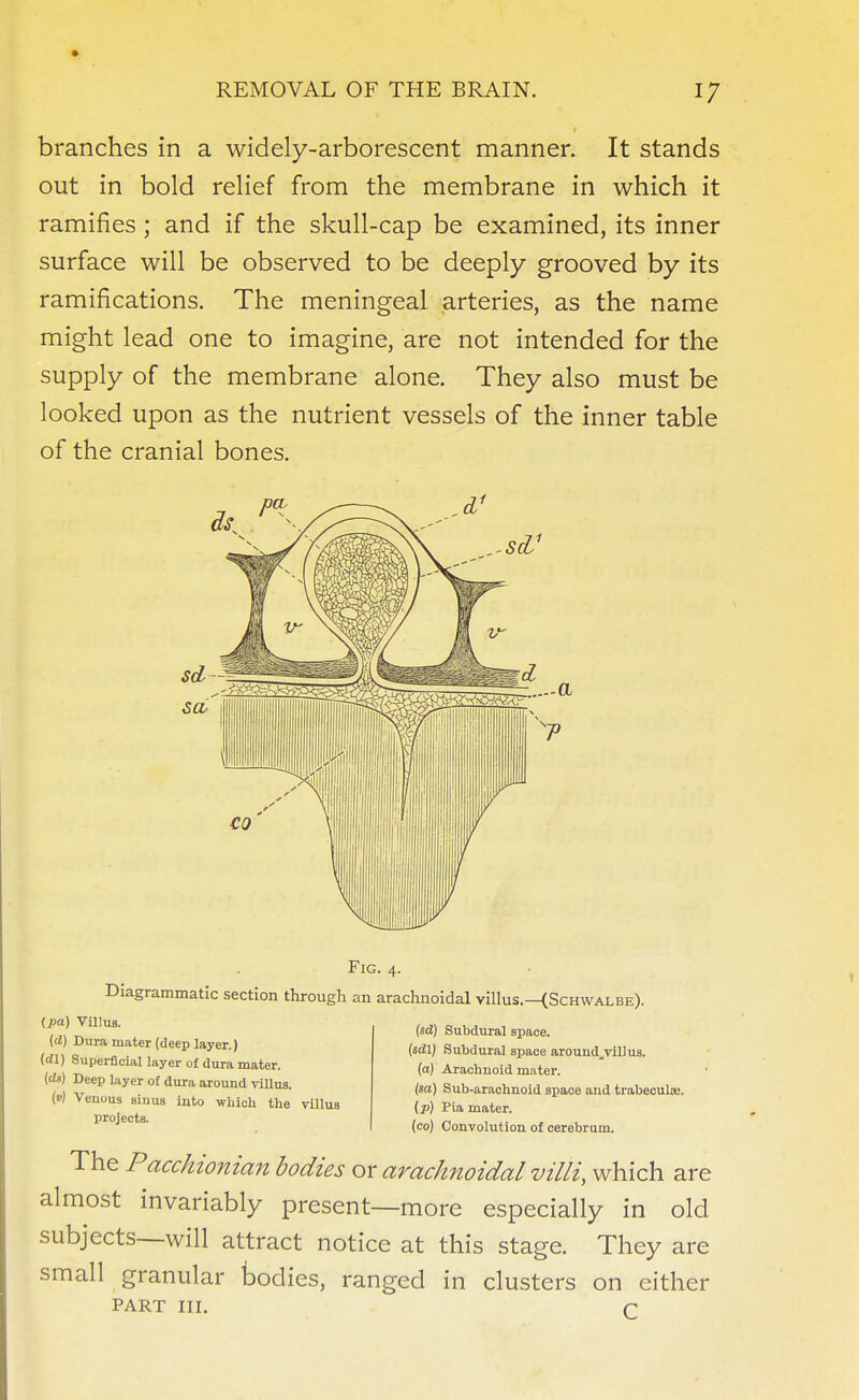 branches in a widely-arborescent manner. It stands out in bold relief from the membrane in which it ramifies; and if the skull-cap be examined, its inner surface will be observed to be deeply grooved by its ramifications. The meningeal arteries, as the name might lead one to imagine, are not intended for the supply of the membrane alone. They also must be looked upon as the nutrient vessels of the inner table of the cranial bones. Fig. 4. Diagrammatic section through an arachnoidal villus.—{Schwalbe). (pa) Villus. {d) Dura mater (deep layer.) (rtl) Superficial layer of dura mater. (ds) Deep layer of dura around villus. (v) Venous sinus into which the villus projects. (sd) Subdural space. (sdl) Subdural space around,villus, (a) Arachnoid mater. (sa) Sub-arachnoid space and trabecule. (p) Pia mater. (co) Convolution of cerebrum. The Pacchionian bodies ox arachnoidal villi, which are almost invariably present—more especially in old subjects—will attract notice at this stage. They are small granular bodies, ranged in clusters on either PART III. c