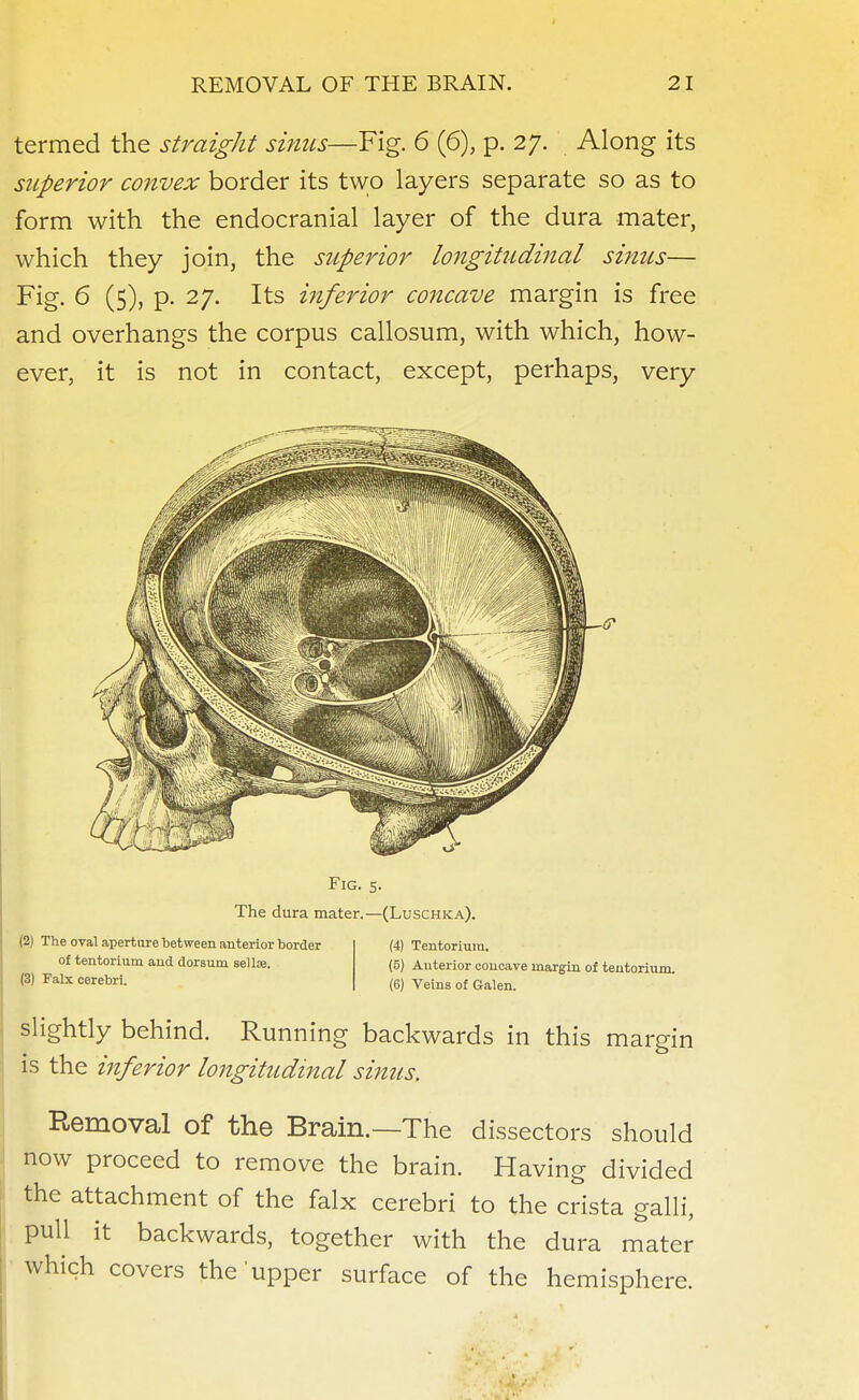 termed the straight sinus—Fig. 6 (6), p. 27. Along its superior convex border its two layers separate so as to form with the endocranial layer of the dura mater, which they join, the superior longitudinal sinus— Fig. 6 (5), p. 27. Its inferior concave margin is free and overhangs the corpus callosum, with which, how- ever, it is not in contact, except, perhaps, very Fig. 5. The dura mater.—(Luschka). (2) The oval aperture between anterior border of tentorium and dorsum selloe. (3) Falx cerebri. (4) Tentorium. (5) Anterior concave margin of tentorium. (6) Veins of Galen. slightly behind. Running backwards in this margin is the inferior longitudinal sinus. Removal of the Brain.—The dissectors should now proceed to remove the brain. Having divided the attachment of the falx cerebri to the crista galli, pull it backwards, together with the dura mater which covers the upper surface of the hemisphere.