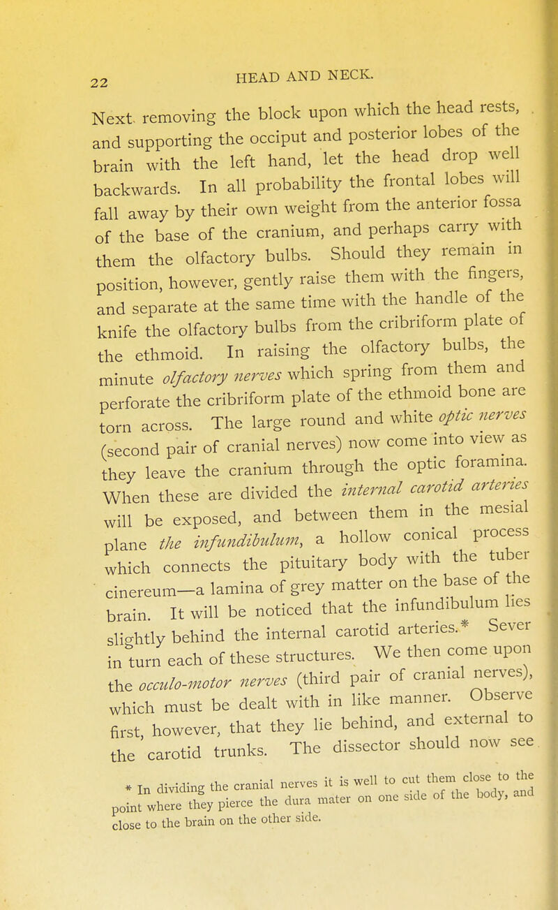 Next, removing the block upon which the head rests, and supporting the occiput and posterior lobes of the brain with the left hand, let the head drop we backwards. In all probability the frontal lobes will fall away by their own weight from the anterior fossa of the base of the cranium, and perhaps carry with them the olfactory bulbs. Should they remain in position, however, gently raise them with the fingers, and separate at the same time with the handle of the knife the olfactory bulbs from the cribriform plate of the ethmoid. In raising the olfactory bulbs, the minute olfactory nerves which spring from them and perforate the cribriform plate of the ethmoid bone are torn across. The large round and white optic nerves (second pair of cranial nerves) now come mto view as they leave the cranium through the optic foramina. When these are divided the internal carotid arteries will be exposed, and between them in the mes.al plane the infundibulum, a hollow conical process which connects the pituitary body with the tuber cinereum-a lamina of grey matter on the base of he brain It will be noticed that the infundibulum lies slightly behind the internal carotid arteries.* Sever in turn each of these structures. We then come upon the occulo-motor nerves (third pair of cranial nerves), which must be dealt with in like manner. Observe first, however, that they lie behind, and external to the carotid trunks. The dissector should now see close to the brain on the other side.