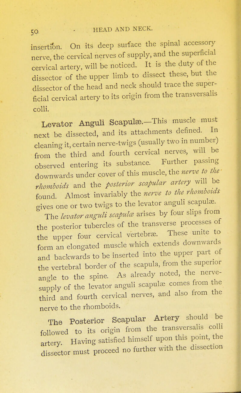 insertion. On its deep surface the spinal accessory nerve the cervical nerves of supply, and the superficial cervical artery, will be noticed. It is the duty of the dissector of the upper limb to dissect these, but the dissector of the head and neck should trace the super- ficial cervical artery to its origin from the transversalis colli. Levator Anguli Scapulae.-This muscle must next be dissected, and its attachments defined. In cleaning it, certain nerve-twigs (usually two in number) from the third and fourth cervical nerves, will be observed entering its substance. Further passing downwards under cover of this muscle, the nerve to the' rhomboids and the posterior scapular artery will be found Almost invariably the nerve to the rhomboids gives one or two twigs to the levator anguli scapulae. The levator anguli scapula arises by four slips from the posterior tubercles of the transverse processes of the upper four cervical vertebrae. These unite to form an elongated muscle which extends downwards and backwards to be inserted into the upper part of the vertebral border of the scapula, from the superior angle to the spine. As already noted, the nerve- supply of the levator anguli scapulae comes from the third and fourth cervical nerves, and also from the nerve to the rhomboids. The Posterior Scapular Artery should be followed to its origin from the transversalis colli arterv Having satisfied himself upon this point, the dissector must proceed no further with the dissection