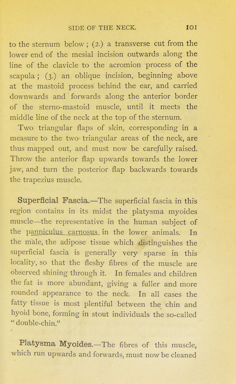 to the sternum below ; (2.) a transverse cut from the lower end of the mesial incision outwards along the line of the clavicle to the acromion process of the scapula; (3.) an oblique incision, beginning above at the mastoid process behind the ear, and carried downwards and forwards along the anterior border of the sterno-mastoid muscle, until it meets the middle line of the neck at the top of the sternum. Two triangular flaps of skin, corresponding in a measure to the two triangular areas of the neck, are thus mapped out, and must now be carefully raised. Throw the anterior flap upwards towards the lower jaw, and turn the posterior flap backwards towards the trapezius muscle. Superficial Fascia.—The superficial fascia in this region contains in its midst the platysma myoides muscle—the representative in the human subject of the panniculus carnosus in the lower animals. In the male, the adipose tissue which distinguishes the superficial fascia is generally very sparse in this locality, so that the fleshy fibres of the muscle are observed shining through it. In females and children the fat is more abundant, giving a fuller and more rounded appearance to the neck. In all cases the fatty tissue is most plentiful between the chin and hyoid bone, forming in stout individuals the so-called  double-chin. Platysma Myoides—The fibres of this muscle, which run upwards and forwards, must now be cleaned