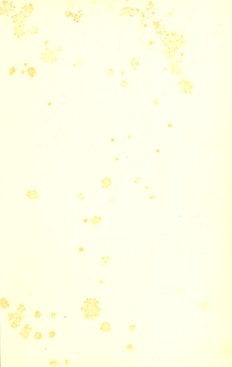 ■ i' •
