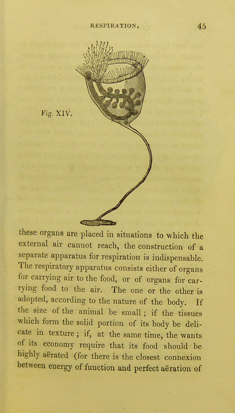 these orgaus are placed in situations to which the external air cannot reach, the construction of a separate apparatus for respiration is indispensable. The respiratory apparatus consists either of organs for carrying air to the food, or of organs for car- rying food to the air. The one or the other is adopted, according to the nature of the body. If the size of the animal be small • if the tissues which form the solid portion of its body be deli- cate in texture; if, at the same time, the wants of its economy require that its food should be highly aerated (for there is the closest connexion between energy of function and perfect aeration of