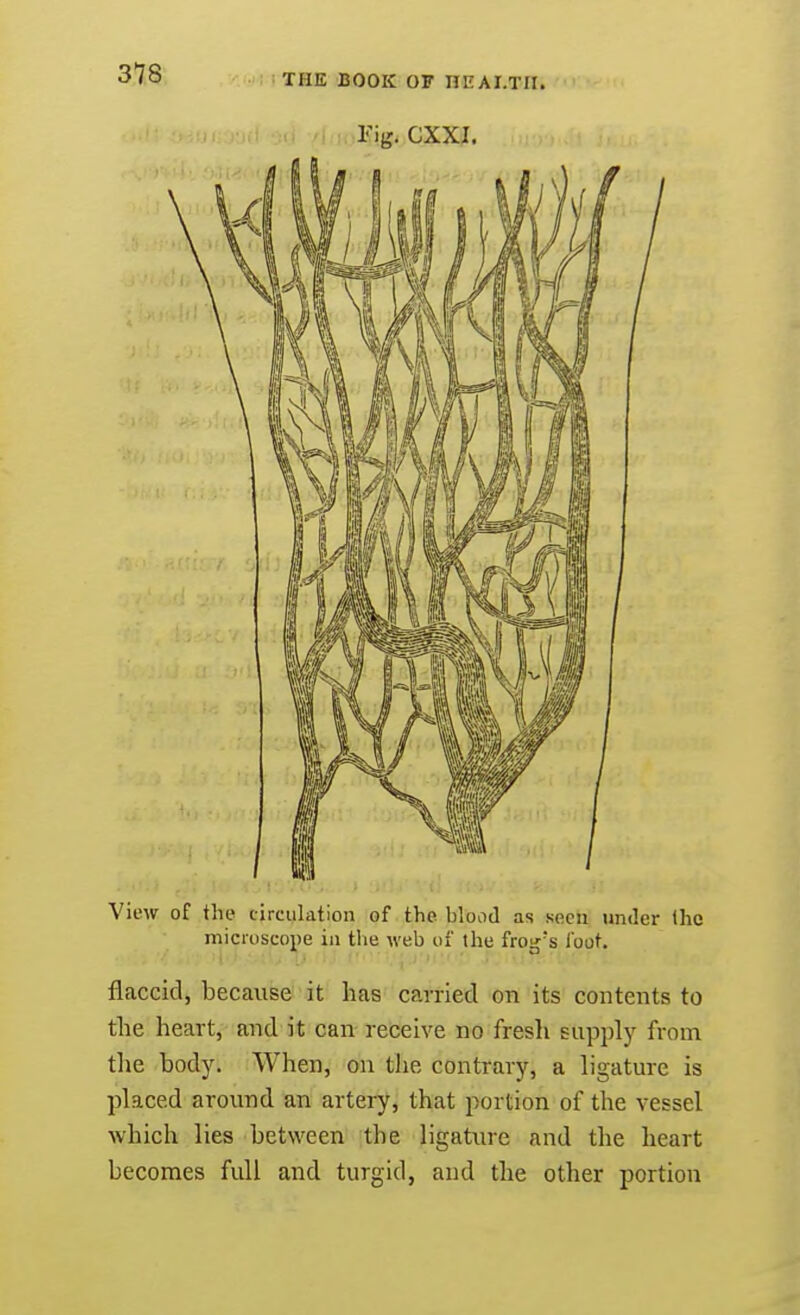 lMg. CXXI. View of the circulation of the blood as seen under the microscope in the web of the frog's loot. flaccid, because it has carried on its contents to the heart, and it can receive no fresh supply from the body. When, on the contrary, a ligature is placed around an artery, that portion of the vessel which lies between the ligature and the heart hecomes full and turgid, and the other portion