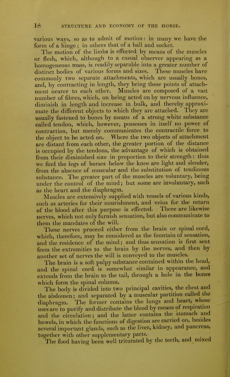 various ways, so as to admit of motion: in many we have the form of a liinge; in others that of a ball and socket. The motion of the limbs is effected by means of the muscles or flesh, which, although to a casual observer appearing as a homogeneous mass, is readily separable into a greater number of distinct bodies of various forms and sizes. These muscles have commonly two separate attachments, which are usually bones, and, by contracting in length, they bring these points of attach- ment nearer to each other. Muscles are composed of a vast number of fibres, which, on being acted on by nervous influence, diminish in length and increase in bulk, and thereby approxi- mate the different objects to which they are attached. They are usually fastened to bones by means of a strong white substance called tendon, which, however, possesses in itself no power of contraction, but merely communicates the contractile force to the object to be acted on. Where the two objects of attachment are distant from each other, the greater portion of the distance is occupied by the tendons, the advantage of which is obtained from their diminished size in proportion to their strength: thus we find the legs of horses below the knee are light and slender, from the absence of muscular and the substitution of tendinous substance. The greater part of the muscles are voluntary, being under the control of the mind; but some are involuntary, such as the heart and tiie diaphragm. Muscles are extensively supplied with vessels of various kinds, such as arteries for their nourishment, and vehis for the return of the blood after this purpose is effected. There are likewise nerves, which not only furnish sensation, but also communicate to them the mandates of the will. These nerves proceed either from the brain or spinal cord, which, therefore, may be considered as the fountain of sensation, and the residence of the mind; and thus sensation is first sent from the extremities to the brain by the nerves, and then by another set of nerves the will is conveyed to the muscles. The brain is a soft pulpy substance contained within the head, and the spinal cord is somewhat similar in appearance, and extends from the brain to the tail, through a hole in the bones which form the spinal column. The body is divided into two principal cavities, the chest and the abdomen; and separated by a muscular partition called the diaphragm. The former contains the lungs and heart, whose uses are to purify and distribute the blood by means of respiration and the circulation; and the latter contains the stomach and bowels, in which the functions of digestion are carried on, besides several important glands, such as the liver, kidney, and pancreas, togetiier widi other supplementary parts. The food having been well triturated by the teeth, and mixed