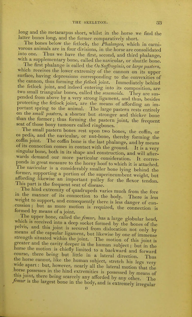 long and the metacarpus short, whilst in the horse we find the latter bones long, and the former comparatively short. The bones below the fetlock, the Phalanges, which in carni- vorous animals are in four divisions, in the horse are consolidated into one. Thus we have the first, second, and third phalange, with a supplementary bone, called the navicular, or shuttle bone. The first phalange is called the Os Suffraginis, or large pastern, which receives the lower extremity of the cannon on'its upper surface, having depressions corresponding to the convexities of the cannon, thus forming the fetlock joint. Immediately behind the fetlock joint, and indeed entering into its composition, are two small triangular bones, called the sesamoids. They are sus- pended from above by a very strong ligament, and thus, besides protecting the fetlock joint, are the means of affording an im- portant spring to the animal. The large pastern rests entirely on the small pastern, a shorter but stronger and thicker bone than the former; thus forming the pastern joint, the frequent seat of those bony tumours called ringbones. The small pastern bones rest upon two bones, the coffin, or OS pedis, and the navicular, or nut-bone, thereby forming the coffin joint. The coffin bone is the last phalange, and by means of Its connection comes in contact with the ground. It is a very singular bone, both in its shape and construction, and will after- wards demand our more particular consideration. It corres- ponds in great measure to the horny hoof to which it is attached. 1 fie navicular is a considerably smaller bone lying behind the former, supporting a portion of the superincumbent weight, but affording likewise an important pulley for the flexor tendon, i his part IS the frequent seat of disease. The hind extremity of quadrupeds varies much from the fore m tlie manner of its connection to the body. There is less weight to support, and consequently there is less danoer of con- cussion ,• but as more motion is required, the connection is tormed by means of a joint. The upper bone, called the femur, has a large globular head, wfiich IS received into a deep socket formed by the bones of the pelvis, and this joint is secured from dislocation not only by means of the capsular ligament, but likewise by one of immense strength situated within the joint. The motion of this ioint is greater and the cavity deeper in the human subject; but in the horse the motion is chiefly limited to a backward and forward course, there being but little in a lateral direction. Thus the horse cannot, like the human subject, stretch his legs very wide apart: but, however, nearly all the lateral motion tliat the horse possesses in the hind extremities is possessed by means of this joint, there being scarcely any afforded by any other. The femur is the largest bone in the body, and is extremely irregular