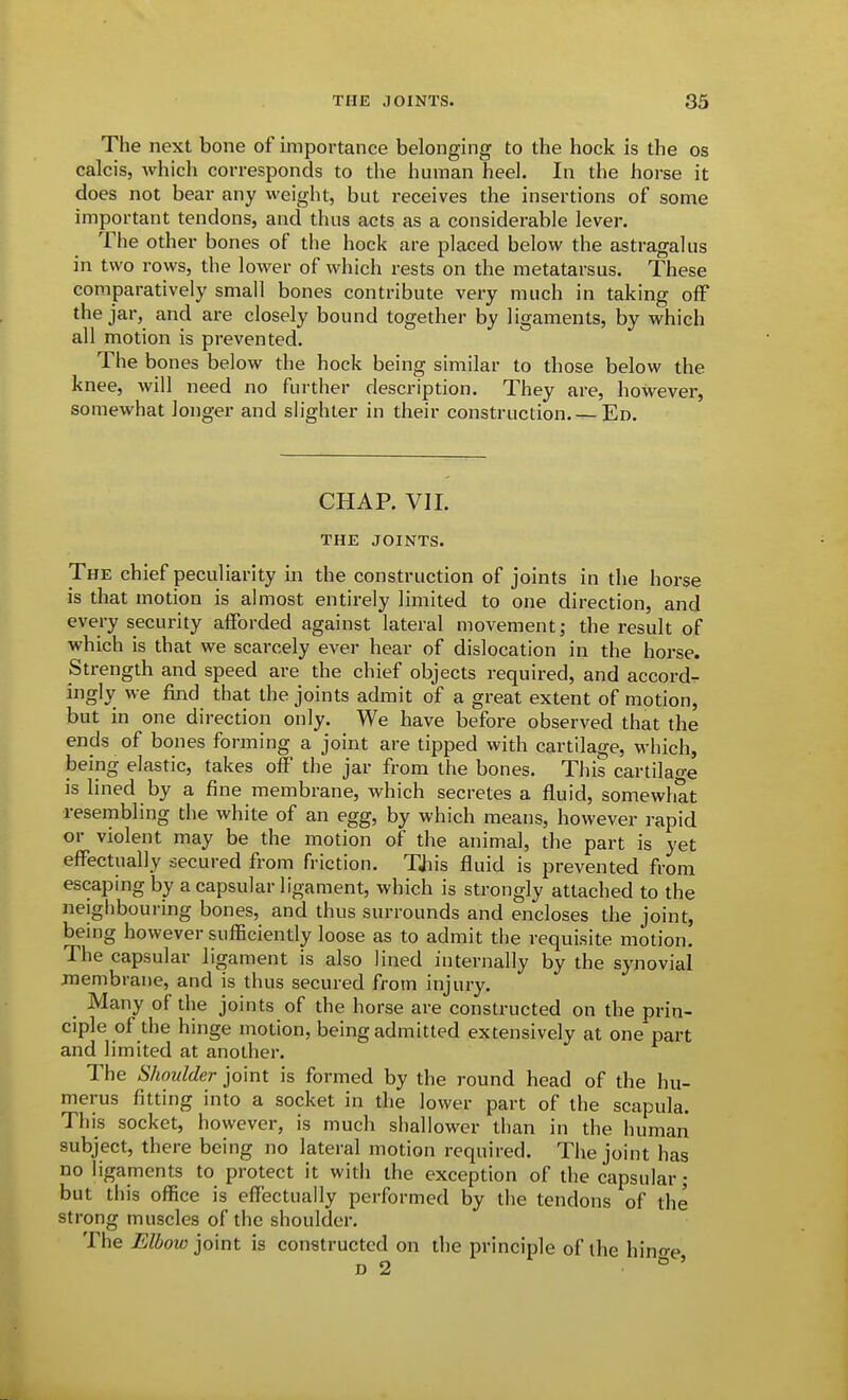 The next bone of importance belonging to the hock is the os calcis, which corresponds to the human heel. In the horse it does not bear any weight, but receives the insertions of some important tendons, and thus acts as a considerable lever. The other bones of the hock are placed below the astragalus in two rows, the lower of which rests on the metatarsus. These comparatively small bones contribute very much in taking off the jar, and are closely bound together by ligaments, by which all motion is prevented. The bones below the hock being similar to those below the knee, will need no further description. They are, however, somewhat longer and slighter in their construction. — Ed. CHAP. VII. THE JOINTS. The chief peculiarity in the construction of joints in the horse is that motion is almost entirely limited to one direction, and every security afforded against lateral movement; the result of which is that we scarcely ever hear of dislocation in the horse. Strength and speed are the chief objects required, and accord- ingly we find that the joints admit of a great extent of motion, but in one direction only. We have before observed that the ends of bones forming a joint are tipped with cartilage, which, being elastic, takes off the jar from the bones. This cartilage is lined by a fine membrane, which secretes a fluid, somewhat resembling the white of an egg, by which means, however rapid or violent may be the motion of the animal, the part is yet effectually secured from friction. TJiis fluid is prevented from escaping by a capsular ligament, which is strongly attached to the neighbouring bones, and thus surrounds and encloses the joint, being however sufficiently loose as to admit the requisite motion. The capsular ligament is also lined internally by the synovial membrane, and is thus secured from injury. Many of the joints of the horse are constructed on the prin- ciple of the hinge motion, being admitted extensively at one part and limited at another. The Shoulder joint is formed by the round head of the hu- merus fitting into a socket in the lower part of the scapula. This socket, however, is much shallower than in the human subject, there being no lateral motion required. The joint has no ligaments to protect it with the exception of the capsular ; but this office is effectually performed by the tendons of the strong muscles of the shoulder. The Elbow'^omt is constructed on the principle of the hinoe