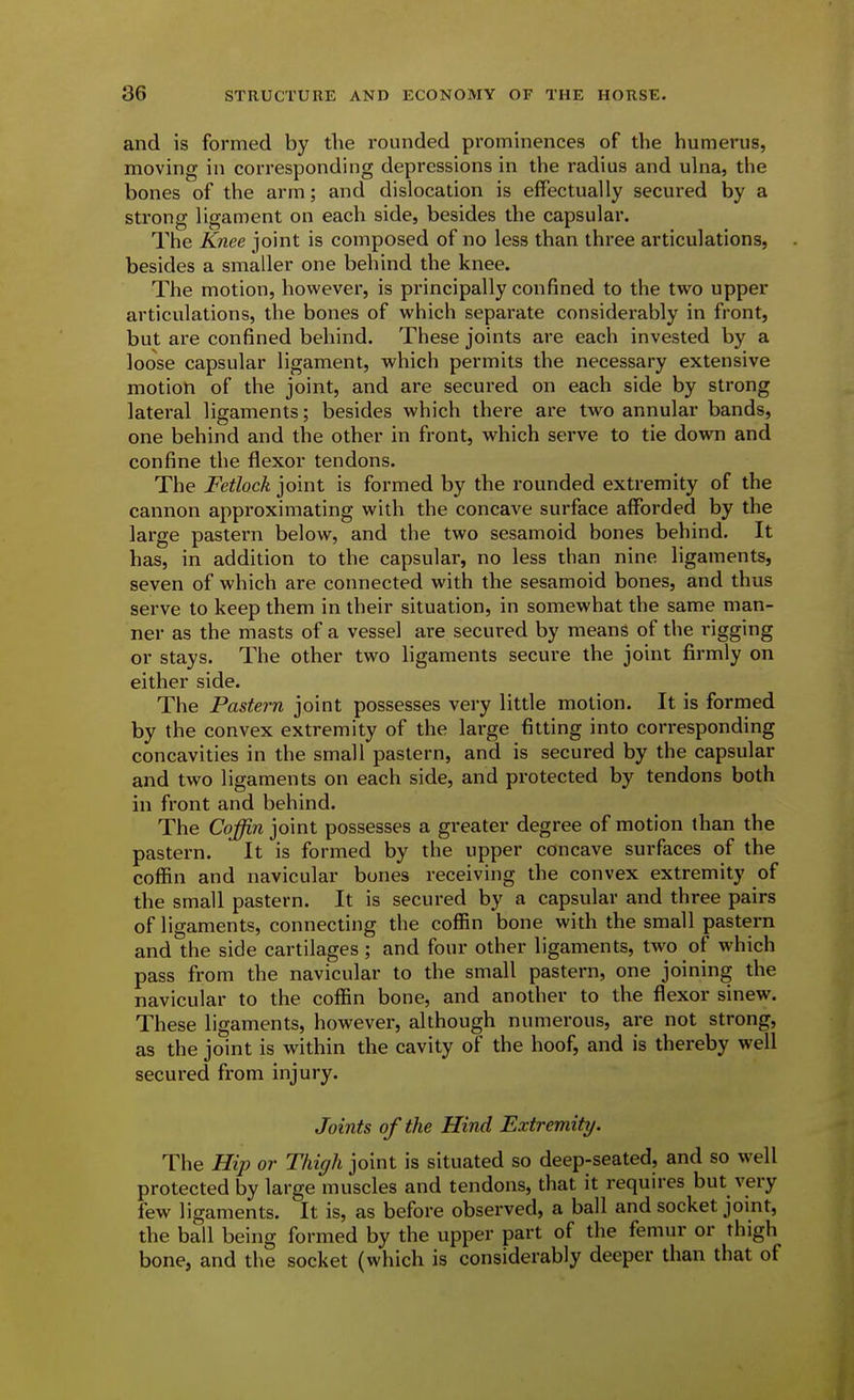 and is formed by the rounded pi'ominences of the humerus, moving in corresponding depressions in the I'adius and ulna, the bones of the arm; and dislocation is effectually secured by a strong ligament on each side, besides the capsular. The Knee joint is composed of no less than three articulations, besides a smaller one behind the knee. The motion, however, is principally confined to the two upper articulations, the bones of which separate considerably in front, but are confined behind. These joints are each invested by a loose capsular ligament, which permits the necessary extensive motion of the joint, and are secui'ed on each side by strong lateral ligaments; besides which there are two annular bands, one behind and the other in front, which serve to tie down and confine the flexor tendons. The Fetlock joint is formed by the rounded extremity of the cannon approximating with the concave surface afforded by the large pastern below, and the two sesamoid bones behind. It has, in addition to the capsular, no less than nine ligaments, seven of which are connected with the sesamoid bones, and thus serve to keep them in their situation, in somewhat the same man- ner as the masts of a vessel are secured by means of the rigging or stays. The other two ligaments secui-e the joint firmly on either side. The Pastern joint possesses very little motion. It is formed by the convex extremity of the large fitting into corresponding concavities in the small pastern, and is secured by the capsular and two ligaments on each side, and protected by tendons both in front and behind. The Coffin joint possesses a greater degree of motion than the pastern. It is formed by the upper concave surfaces of the coffin and navicular bones receiving the convex extremity of the small pastern. It is secured by a capsular and three pairs of ligaments, connecting the coffin bone with the small pastern and the side cartilages ; and four other ligaments, two of which pass from the navicular to the small pastern, one joining the navicular to the coffin bone, and another to the flexor sinew. These ligaments, however, although numerous, are not strong, as the joint is within the cavity of the hoof, and is thereby well secured from injury. Joints of the Hind Extremity. The Hip or Thigh joint is situated so deep-seated, and so well protected by large muscles and tendons, that it requires but very few ligaments. It is, as before observed, a ball and socket joint, the ball being formed by the upper part of the femur or thigh bone, and the socket (which is considerably deeper than that of