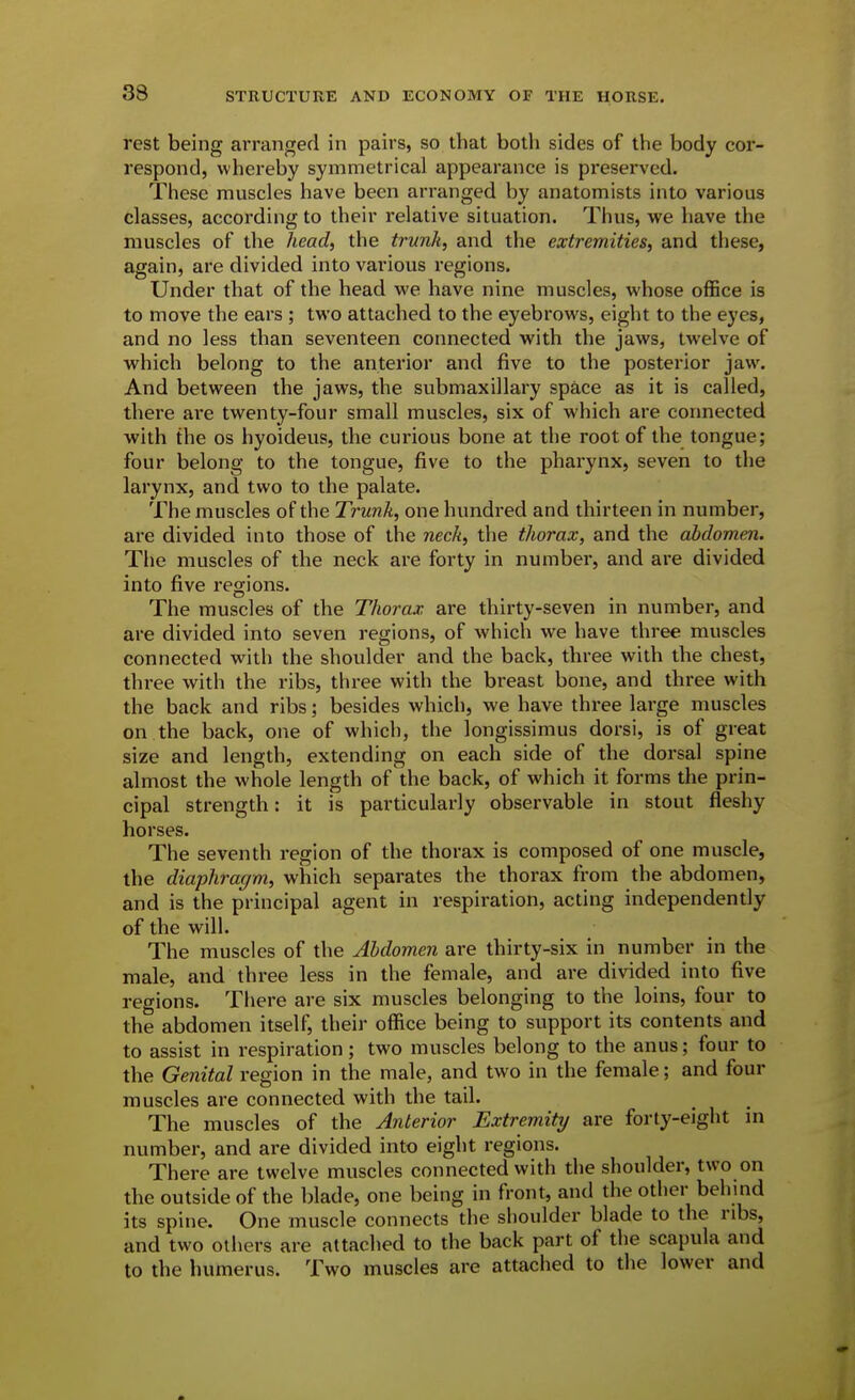 rest being arranged in pairs, so that both sides of the body cor- respond, whereby symmetrical appearance is preserved. These muscles have been arranged by anatomists into various classes, according to their relative situation. Thus, we have the muscles of the head, the trunk, and the extremities, and these, again, are divided into various regions. Under that of the head we have nine muscles, whose office is to move the ears ; two attached to the eyebrows, eight to the eyes, and no less than seventeen connected with the jaws, twelve of which belong to the anterior and five to the posterior jaw. And between the jaws, the submaxillary space as it is called, there are twenty-four small muscles, six of which are connected with the OS hyoideus, the curious bone at the root of the tongue; four belong to the tongue, five to the pharynx, seven to the larynx, and two to the palate. The muscles of the Trunk, one hundred and thirteen in number, are divided into those of the neck, the thorax, and the abdomen. The muscles of the neck are forty in number, and are divided into five regions. The muscles of the Thorax are thirty-seven in number, and are divided into seven regions, of which we have three muscles connected with the shoulder and the back, three with the chest, thi-ee with the ribs, three with the breast bone, and three with the back and ribs; besides which, we have three large muscles on the back, one of which, the longissimus dorsi, is of great size and length, extending on each side of the dorsal spine almost the whole length of the back, of which it forms the prin- cipal strength: it is particularly observable in stout fleshy horses. The seventh region of the thorax is composed of one muscle, the diaphragm, which separates the thorax from the abdomen, and is the principal agent in respiration, acting independently of the will. The muscles of the Abdomen are thirty-six in number in the male, and three less in the female, and are di\aded into five regions. There are six muscles belonging to the loins, four to the abdomen itself, their office being to support its contents and to assist in respiration; two muscles belong to the anus; four to the Genital region in the male, and two in the female; and four muscles are connected with the tail. The muscles of the Anterior Extremity are forty-eight in number, and are divided into eight regions. There are twelve muscles connected with the shoulder, two on the outside of the blade, one being in front, and the other behind its spine. One muscle connects the shoulder blade to the nbs, and two others are attached to the back part of the scapula and to the humerus. Two muscles are attached to the lower and