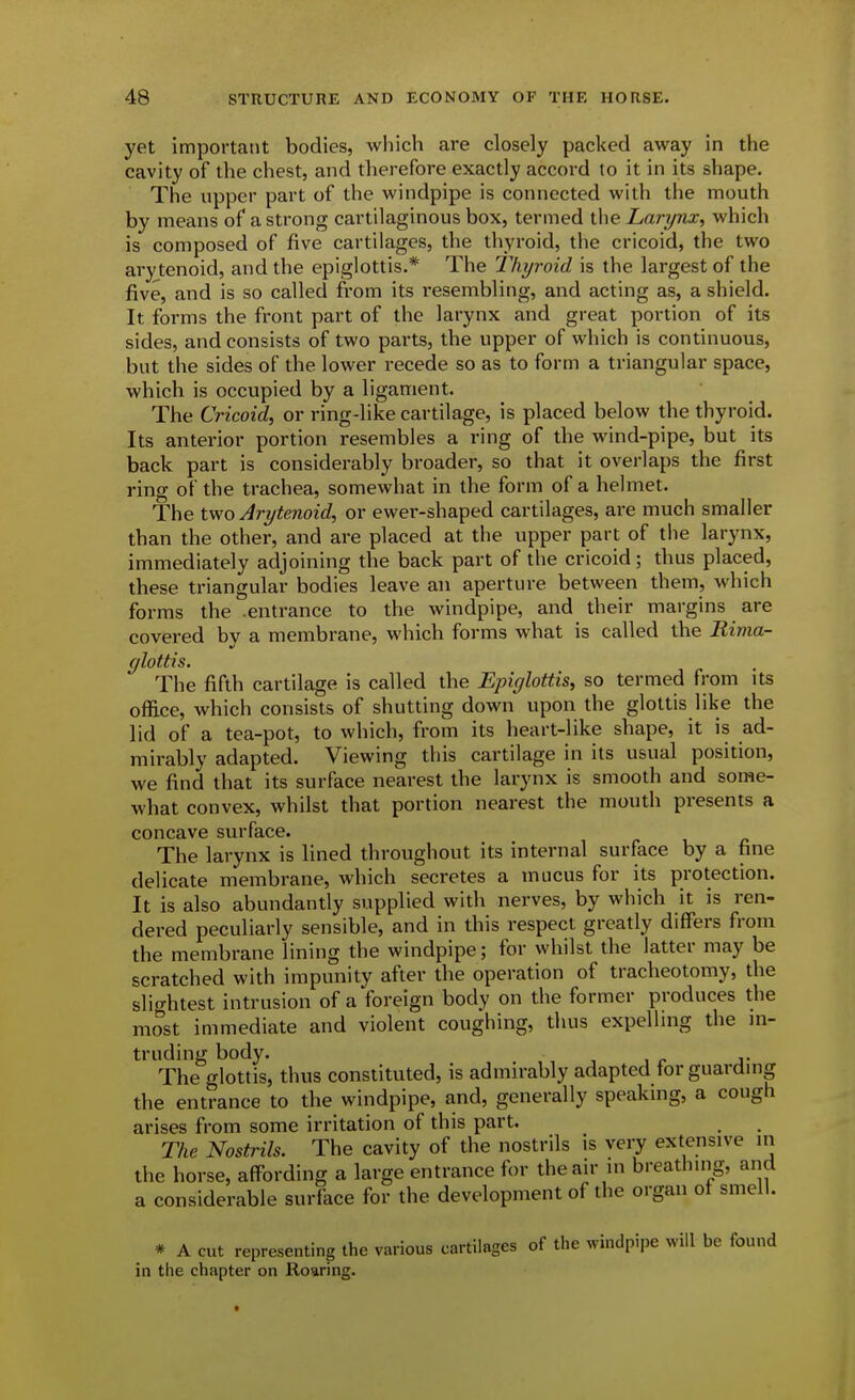 yet important bodies, wliich are closely packed away in the cavity of the chest, and therefore exactly accord to it in its shape. The upper part of the windpipe is connected witli the mouth by means of a strong cartilaginous box, termed the Larynx, which is composed of five cartilages, the thyroid, the cricoid, the two arytenoid, and the epiglottis.* The Thyroid is the largest of the five, and is so called from its resembling, and acting as, a shield. It forms the front part of the larynx and great portion of its sides, and consists of two parts, the upper of which is continuous, but the sides of the lower recede so as to form a triangular space, which is occupied by a ligament. The Cricoid, or ring-like cartilage, is placed below the thyroid. Its anterior portion resembles a ring of the wind-pipe, but its back part is considerably broader, so that it overlaps the first ring of the trachea, somewhat in the form of a helmet. The two Arytenoid, or ewer-shaped cartilages, are much smaller than the other, and are placed at the upper part of the larynx, immediately adjoining the back part of the cricoid; thus placed, these triangular bodies leave an aperture between them, which forms the .entrance to the windpipe, and their margins are covered bv a membrane, which forms what is called the Rima- glottis. The fifth cartilage is called the Epiglottis, so termed from its office, which consists of shutting down upon the glottis like the lid of a tea-pot, to which, from its heart-like shape, it is ad- mirably adapted. Viewing this cartilage in its usual position, we find that its surface nearest the larynx is smooth and some- what convex, whilst that portion nearest the mouth presents a concave surface. The larynx is lined throughout its internal surface by a fine delicate membrane, which secretes a mucus for its protection. It is also abundantly supplied with nerves, by which it is ren- dered peculiarly sensible, and in this respect greatly differs from the membrane lining the windpipe; for whilst the latter may be scratched with impunity after the operation of tracheotomy, the slightest intrusion of a foreign body on the former produces the most immediate and violent coughing, thus expelhng the in- truding body. The glottis, thus constituted, is admirably adapted for guarding the entrance to the windpipe, and, generally speaking, a cough arises from some irritation of this part. The Nostrils. The cavity of the nostrils is very extensive in the horse, affording a large entrance for the air in breathing, and a considerable surface for the development of the organ of smell. * A cut representing the various cartilages of the windpipe will be found in the chapter on Roaring.