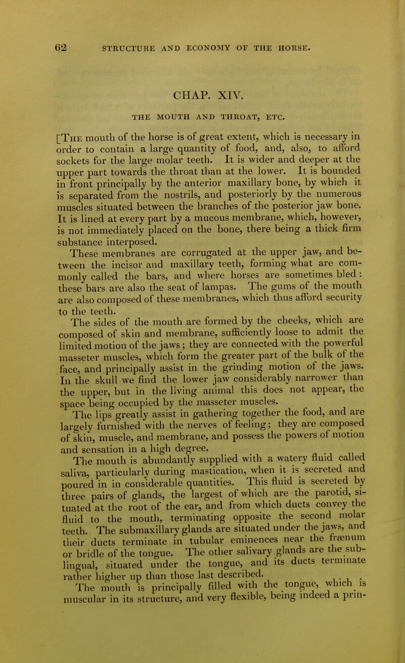 CHAP. XIV. THE MOUTH AND THROAT, ETC. [The mouth of the horse is of great extent, which is necessary in order to contain a large quantity of food, and, also, to afford sockets for tlie large molar teeth. It is wider and deeper at the upper part towards the throat than at the lower. It is bounded in front principally by the anterior maxillary bone, by which it is separated from the nostrils, and posteriorly by the numerous muscles situated between the branches of the posterior jaw bone. It is lined at every part by a mucous membrane, which, however, is not immediately placed on the bone, there being a thick firm substance interposed. These membranes are corrugated at the upper jaw, and be- tween the incisor and maxillary teeth, forming what are com- monly called the bars, and where horses are sometimes bled : these bars are also the seat of lampas. The gums of the mouth are also composed of these membranes, which thus affbrd security to the teeth. The sides of the mouth are formed by the cheeks, which are composed of skin and membrane, sufficiently loose to admit the limited motion of the jaws; they are connected with the powerful masseter muscles, which form the greater part of the bulk of the face, and principally assist in the grinding motion of the jaws. In the skull we find the lower jaw considerably narrower than the upper, but in the living animal this does not appear, the space being occupied by the masseter muscles. The lips greatly assist in gathering together the food, and are largely furnished with the nerves of feeling; they are composed of skin, muscle, and membrane, and possess the powers of motion and sensation in a high degree. The mouth is abundantly supplied with a watery fluid called saliva, particularly during mastication, when it is secreted and poured in in considerable quantities. This fluid is secreted by three pairs of glands, the largest of which are the parotid, si- tuated at the root of the ear, and from which ducts convey the fluid to the mouth, terminating opposite the second molar teeth. The submaxillary glands are situated under the jaws, and their ducts terminate in tubular eminences near the frjEUum or bridle of the tongue. The other salivary glands are the sub- lingual, situated under the tongue, and its ducts terminate rather higher up than those last described. _ The mouth is principally filled with the tongue, which is muscular in its structure, and very flexible, being indeed a prin-