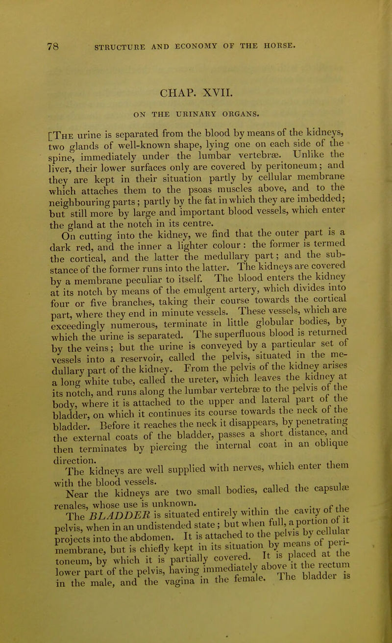 CHAP. XVII. ON THE URINARY ORGANS. [The urine is separated from the blood by means of the kidneys, two o-lands of well-known shape, lying one on each side of the spinel immediately under the lumbar vertebras. Unlike the liver, their lower surfaces only are covered by peritoneum; and they are kept in their situation partly by cellular membrane which attaches them to the psoas muscles above, and to the neighbouring parts; partly by the fat in which they are imbedded; but still more by large and important blood vessels, which enter the gland at the notch in its centre. On cutting into the kidney, we find that the outer part is a dark red, and the inner a lighter colour : the former is termed the cortical, and the latter the medullary part; and the sub- stance of the former runs into the latter. The kidneys are covered by a membrane peculiar to itself. The blood enters the kidney at its notch by means of the emulgent artery, which divides into four or five branches, taking their course towards the cortical part, where they end in minute vessels. These vessels, which are exceedingly numerous, terminate in little globular bodies, by which the urine is separated. The superfluous blood is returned by the veins; but the urine is conveyed by a particular set ot vessels into a reservoir, called the pelvis, situated in the me- dullary part of the kidney. From the pelvis of the kidney arises a long white tube, called the ureter, which leaves the kidney at its noteh, and runs along the lumbar vertebrae to the pelvis of the body, where it is attached to the upper and lateral part ot the bladder, on which it continues its course towards the neck ot the bladder. Before it reaches the neck it disappears, by penetrating the external coats of the bladder, passes a short distance, and then terminates by piercing the internal coat in an oblique ^Th^kidneys are well supplied with nerves, which enter them with the blood vessels. , i i Near the kidneys are two small bodies, called the capsule renales, whose use is unknown. „ , The BLADDER is situated entirely within the cavity ot tiie pelvis, when in an undistended state; but when full, ^ P°;;^'« projects into the abdomen. It is attached to tl- FH- by^;'!'^^ Membrane, but is chiefly kept n its ^^^^^ ^ at^Tl e toneum,by which it is partially covered If^^^^I^ X rectum lower part of the pelvis, having immediately above it tl e^ec m in the male, and the vagina in tlie female. The bladder is