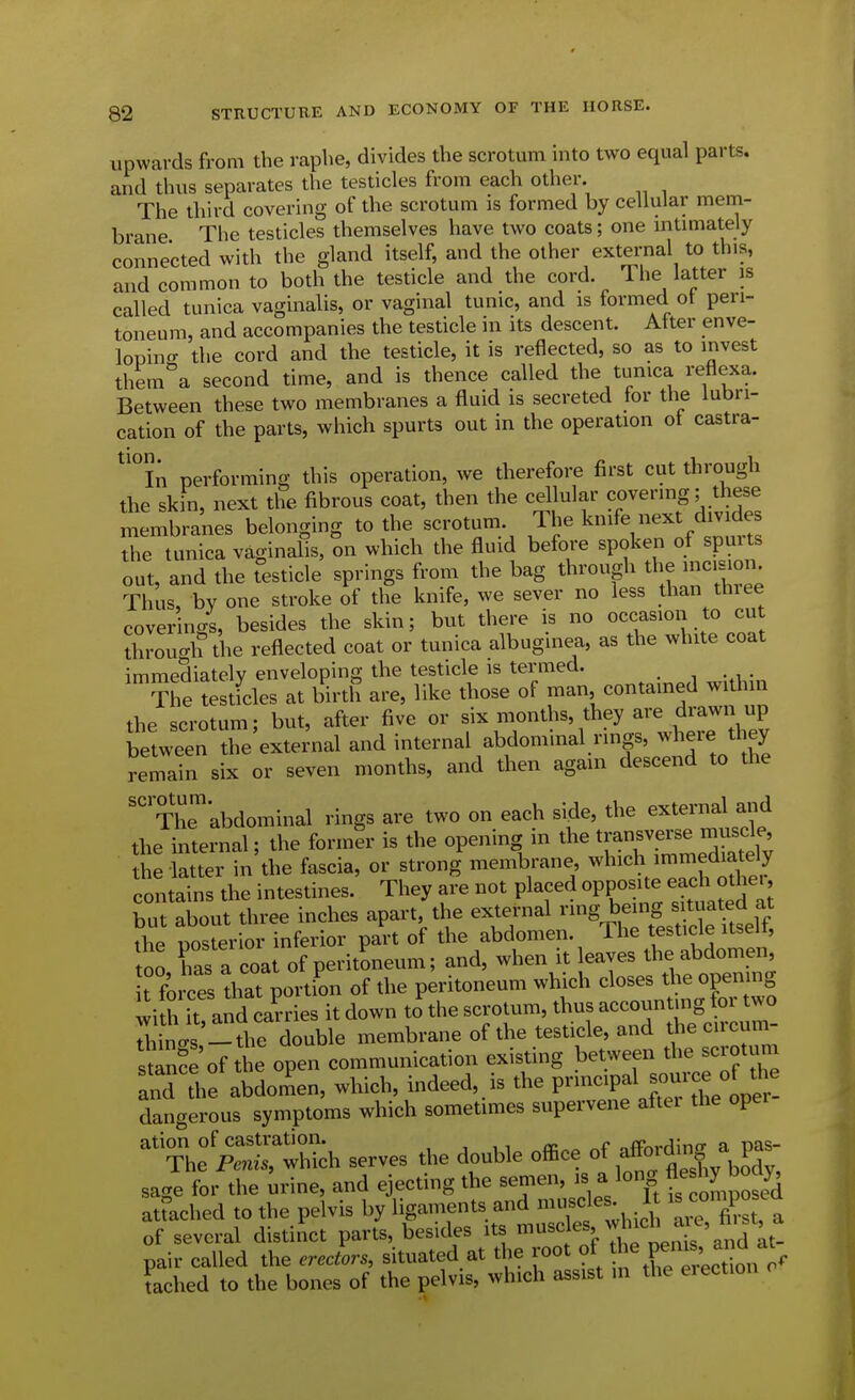 upwards from the raphe, divides the scrotum into two equal parts, and thus separates the testicles from each other. The third covering of the scrotum is formed by cellular mem- brane The testicles themselves have two coats; one intimately connected with the gland itself, and the other external to this, and common to both the testicle and the cord. Tlie latter is called tunica vaginalis, or vaginal tunic, and is formed ot peri- toneum, and accompanies the testicle in its descent. After enve- lopino- the cord and the testicle, it is reflected, so as to invest them°a second time, and is thence called the tunica reflexa. Between these two membranes a fluid is secreted tor the lubri- cation of the parts, which spurts out in the operation of castra- ^^°In performing this operation, we therefore first cut through the skin, next the fibrous coat, then the cellular covering; these membranes belonging to the scrotum. The knife next divides the tunica vaginalis, on which the fluid before spoken of spurts out, and the testicle springs from the bag through the incision Thus, by one stroke of the knife, we sever no less than thiee coverings, besides the skin; but there is no occasion to cut through the reflected coat or tunica albuginea, as the white coat immediatelv enveloping the testicle is termed. Theesticles at birth are, like those of man contamed within the scrotum: but, after five or six months, they are drawn up between Te external and internal abdominal rings, where they remain six or seven months, and then again descend to the T\r*abdominal rings are two on each side, the external and the internal; the former is the opening in the transverse muscle, the - atter in the fascia, or strong membrane, which immediately contai^ the intestines.' They are not placed opposite each other but about three inches apart the external -g the posterior inferior part of the abdomen. The testicle itseit, too has a coat of peritoneum; and, when it leaves the abdomen, t forces that portion of the peritoneum which closes the opening with It and carries it down to the scrotum, thus accounting for two Tnc^s !^the diuble membrane of the testicle, and t^he circum- smnfe of the open communication existing between the scrotum ind the abdorSen, which, indeed, is the Pn-ipal -^^^^^^^^^^^^^ dangerous symptoms which sometimes supervene after the opei ^j^^X^ serves the double office of affording a^^^^^^^ sage for the irine, and ejecting the semen, is a long W^^^^^ atmched to the pelvis by ligaments and nn^sdes^ 1 con^po e of several distinct parts, besides its ^'^^^ and at- pair called the erectors, situated at the root of Pf ^'^^^^^^^^^ Cached to the bones of the pelvis, which assist m the erection