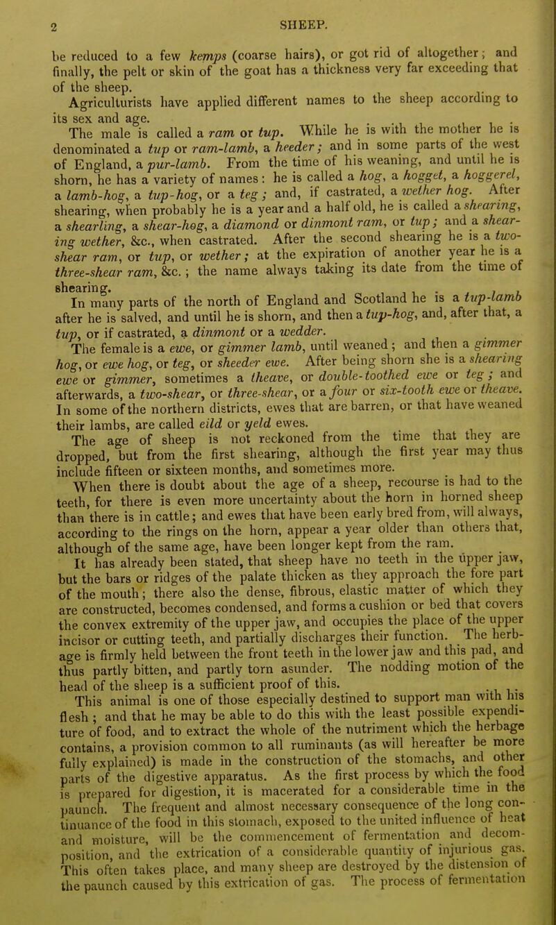 be reduced to a few kemps (coarse hairs), or got rid of altogether; and finally, the pelt or skin of the goat has a thickness very far exceeding that of the sheep. Agriculturists have applied different names to the sheep according to its sex and age. .... . The male is called a ram or tup. While he is with the mother he is denominated a tup or ram-lamb, a heeder; and in some parts of the west of England, a pur-lamb. From the time of his weaning, and until he is shorn, he has a variety of names: he is called a hog, a hogget, a hoggerel, a lamb-hog, a tup-hog, or a teg; and, if castrated, a wether hog. After shearing, when probably he is a year and a half old, he is called & shearing, a shearling, a shear-hog, a diamond or dinmont ram, or tup; and a shear- ing wether, &c, when castrated. After the second shearing he is a two- shear ram, or tup, or wether; at the expiration of another year he is a three-shear ram, &c.; the name always taking its date from the time ot shearing. . , In many parts of the north of England and Scotland he is a tup-lamb after he is salved, and until he is shorn, and then a tup-hog, and, after that, a tup, or if castrated, a dinmont or a wedder. The female is a ewe, or gimmer lamb, until weaned; and then a gimmer hog, or ewe hog, or teg, or sheeder ewe. After being shorn she is a shearing ewe or gimmer, sometimes a Iheave, or double-toothed ewe or teg ; and afterwards, a two-shear, or three-shear, or a four or six-tooth ewe or theave In some of the northern districts, ewes that are barren, or that have weaned their lambs, are called eild or yeld ewes. The age of sheep is not reckoned from the time that they are dropped, but from the first shearing, although the first year may thus include fifteen or sixteen months, and sometimes more. When there is doubt about the age of a sheep, recourse is had to the teeth, for there is even more uncertainty about the horn in horned sheep than'there is in cattle; and ewes that have been early bred from, will always, according to the rings on the horn, appear a year older than others that, although of the same age, have been longer kept from the ram. It has already been stated, that sheep have no teeth in the upper jaw, but the bars or ridges of the palate thicken as they approach the fore part of the mouth; there also the dense, fibrous, elastic matter of which they are constructed, becomes condensed, and forms a cushion or bed that covers the convex extremity of the upper jaw, and occupies the place of the upper incisor or cutting teeth, and partially discharges their function. The herb- age is firmly held between the front teeth in the lower jaw and this pad and thus partly bitten, and partly torn asunder. The nodding motion of the head of the sheep is a sufficient proof of this. This animal is one of those especially destined to support man with his flesh ; and that he may be able to do this with the least possible expendi- ture of food, and to extract the whole of the nutriment which the herbages contains, a provision common to all ruminants (as will hereafter be more fully explained) is made in the construction of the stomachs, and other parts of the digestive apparatus. As the first process by which the food is prepared for digestion, it is macerated for a considerable time in the paunch. The frequent and almost necessary consequence of the long con- tinuance of the food in this stomach, exposed to the united influence of heat and moisture, will be the commencement of fermentation and decom- position, and 'the extrication of a considerable quantity of injurious gas. This often takes place, and many sheep are destroyed by the distension of the paunch caused by this extrication of gas. The process of fermentation