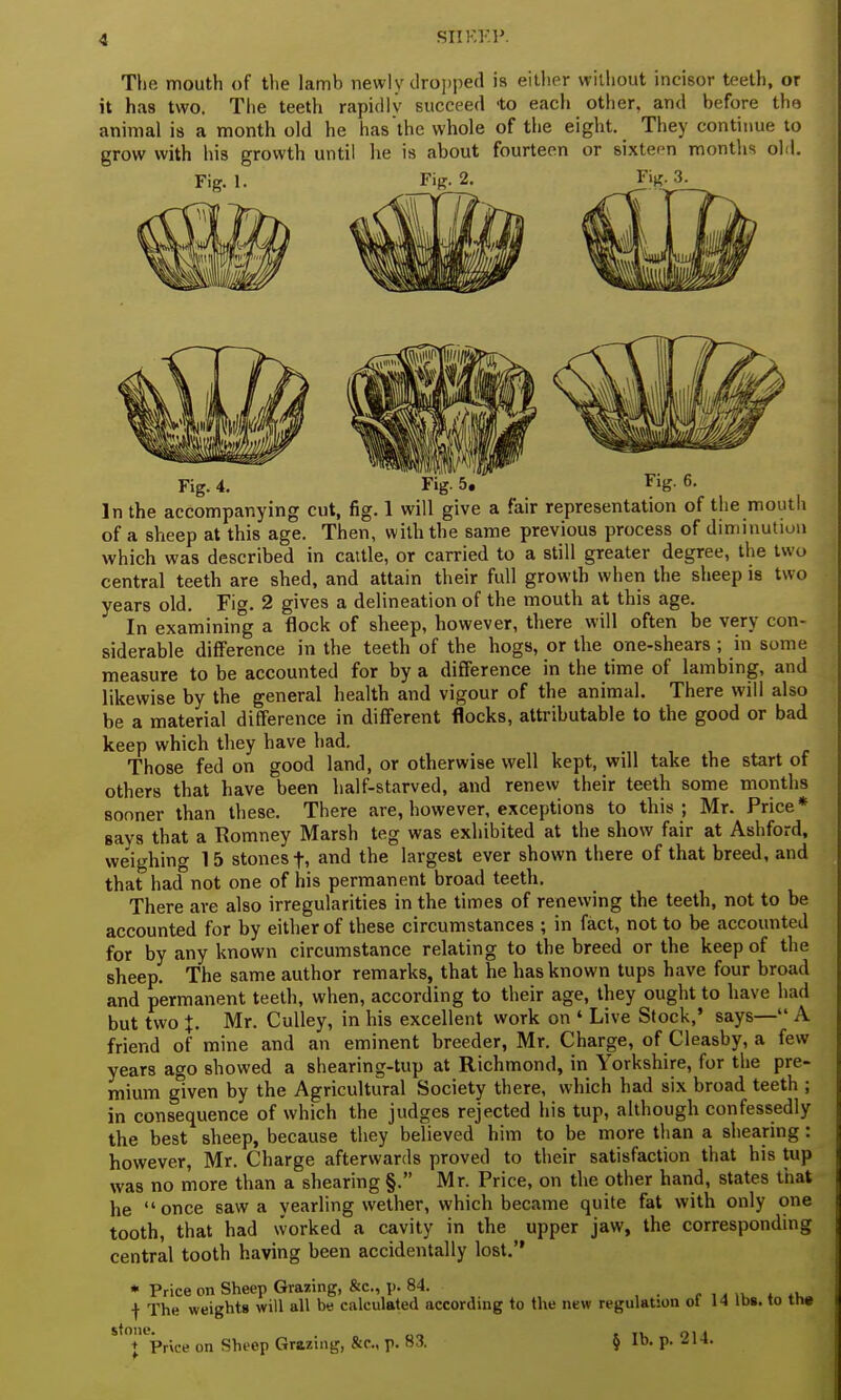 The mouth of the lamb newly dropped is either without incisor teeth, or it has two. The teeth rapid I v succeed -to each other, and before the animal is a month old he has the whole of the eight. They continue to grow with his growth until he is about fourteen or sixteen months old. Fig. 5. Fig. 6. In the accompanying cut, fig. 1 will give a fair representation of the mouth of a sheep at this age. Then, with the same previous process of diminution which was described in cattle, or carried to a still greater degree, the two central teeth are shed, and attain their full growth when the sheep is two years old. Fig. 2 gives a delineation of the mouth at this age. In examining a flock of sheep, however, there will often be very con- siderable difference in the teeth of the hogs, or the one-shears ; in some measure to be accounted for by a difference in the time of lambing, and likewise by the general health and vigour of the animal. There will also be a material difference in different flocks, attributable to the good or bad keep which they have had. Those fed on good land, or otherwise well kept, will take the start of others that have been half-starved, and renew their teeth some months sooner than these. There are, however, exceptions to this; Mr. Price* savs that a Pomney Marsh teg was exhibited at the show fair at Ashford, weighing 15 stones f, and the largest ever shown there of that breed, and that had not one of his permanent broad teeth. There are also irregularities in the times of renewing the teeth, not to be accounted for by eitberof these circumstances ; in fact, not to be accounted for by any known circumstance relating to the breed or the keep of the sheep. The same author remarks, that he has known tups have four broad and permanent teeth, when, according to their age, they ought to have had but two %. Mr. Culley, in his excellent work on ' Live Stock,' says— A friend of mine and an eminent breeder, Mr. Charge, of Cleasby, a few years ago showed a shearing-tup at Richmond, in Yorkshire, for the pre- mium given by the Agricultural Society there, which had six broad teeth ; in consequence of which the judges rejected his tup, although confessedly the best sheep, because they believed him to be more than a shearing: however, Mr. Charge afterwards proved to their satisfaction that his tup was no more than a shearing §. Mr. Price, on the other hand, states that he once saw a yearling wether, which became quite fat with only one tooth, that had worked a cavity in the upper jaw, the corresponding central tooth having been accidentally lost. * Price on Sheep Grazing, Sec, p. 84. , , ..... ,. j The weights will all be calculated according to the new regulation ot 14 lbs. to th# stone. + Price on Sheep Grazing, p. 83. § lb. p. 214.