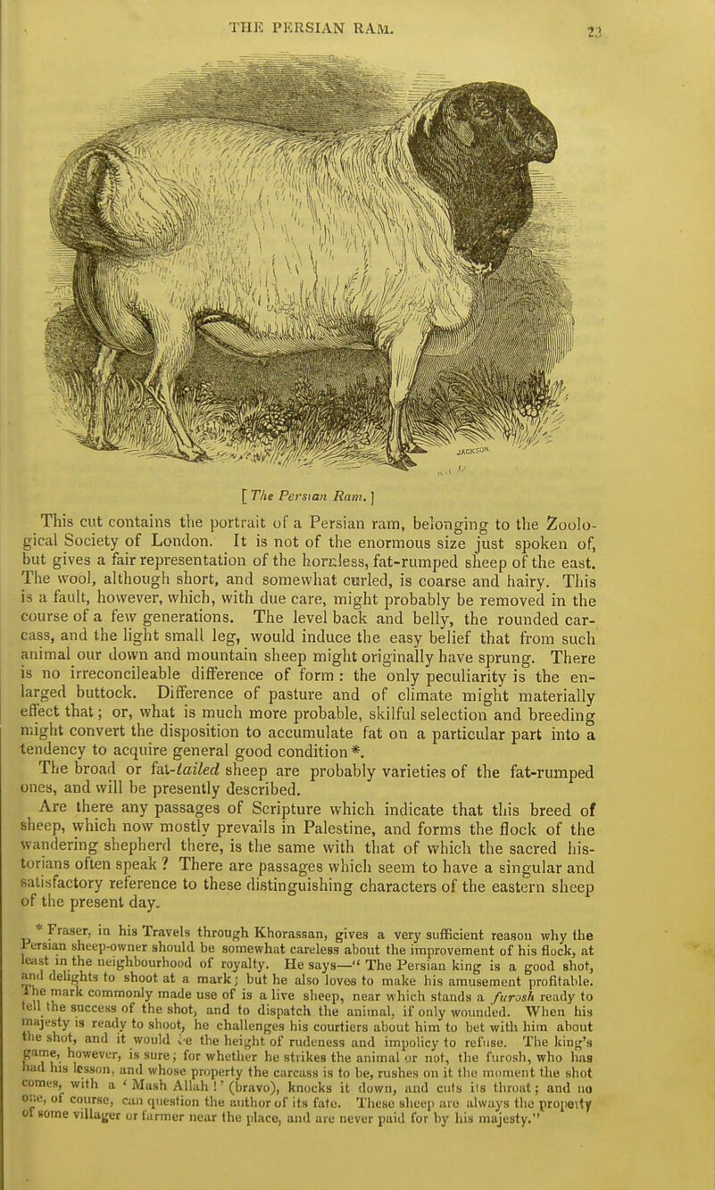 THE PERSIAN RAM. [ The Persian Ram. ] This cut contains the portrait of a Persian ram, belonging to the Zoolo- gical Society of London. It is not of the enormous size just spoken of, but gives a fair representation of the hordess, fat-rumped sheep of the east. The wool, although short, and somewhat curled, is coarse and hairy. This is a fault, however, which, with due care, might probably be removed in the course of a few generations. The level back and belly, the rounded car- cass, and the light small leg, would induce the easy belief that from such animal our down and mountain sheep might originally have sprung. There is no irreconcileable difference of form : the only peculiarity is the en- larged buttock. Difference of pasture and of climate might materially effect that; or, what is much more probable, skilful selection and breeding might convert the disposition to accumulate fat on a particular part into a tendency to acquire general good condition *. The broad or fai-lailed sheep are probably varieties of the fat-rumped ones, and will be presently described. Are there any passages of Scripture which indicate that this breed of sheep, which now mostly prevails in Palestine, and forms the flock of the wandering shepherd there, is the same with that of which the sacred his- torians often speak ? There are passages which seem to have a singular and satisfactory reference to these distinguishing characters of the eastern sheep of the present day. * Fraser, in his Travels through Khorassan, gives a very sufficient reason why the I ersian sheep-owner should be somewhat careless about the improvement of his flock, at least in the neighbourhood of royalty. He says— The Persian king is a good shot, ami delights to shoot at a mark; but he also loves to make his amusement profitable. I he mark commonly made use of is a live sheep, near which stands a furoah ready to tell the success of the shot, and to dispatch the animal, if only wounded. When his majesty is ready to shoot, he challenges his courtiers about him to bet with him about the shot, and it would i e the height of rudeness and impolicy to refuse. The king's game, however, is sure; for whether he strikes the animal or not, the furosh, who has had his lesson, and whose property the carcass is to be, rushes on it the moment the shot comes, with a 'Mash Allah !' (bravo), knocks it down, and cuts its throat; and no one, of course, can question the author of its fate. These sheep are always the property ot (tome villager or tanner near the place, and are never paid for by his majesty.