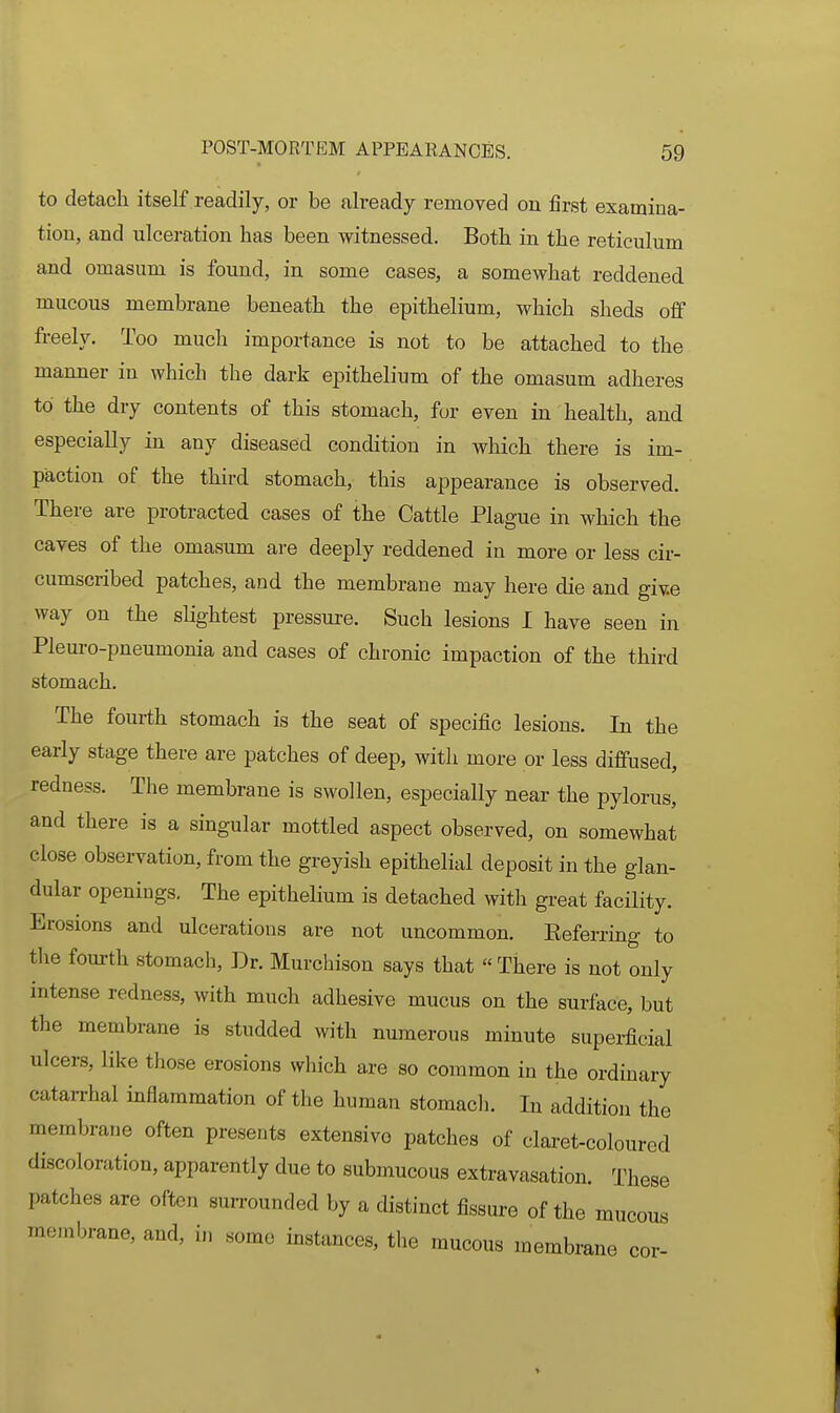 to detach itself readily, or be already removed on first examina- tion, and ulceration has been witnessed. Both in the reticulum and omasum is found, in some cases, a somewhat reddened mucous membrane beneath the epithelium, which sheds off freely. Too much importance is not to be attached to the manner in which the dark epithelium of the omasum adheres to the dry contents of this stomach, for even in health, and especially in any diseased condition in which there is im- paction of the third stomach, this appearance is observed. There are protracted cases of the Cattle Plague in which the caves of the omasum are deeply reddened in more or less cir- cumscribed patches, and the membrane may here die and giv.e way on the slightest pressure. Such lesions I have seen in Pleuro-pneumonia and cases of chronic impaction of the third stomach. The fourth stomach is the seat of specific lesions. In the early stage there are patches of deep, with more or less diffused, redness. The membrane is swollen, especially near the pylorus, and there is a singular mottled aspect observed, on somewhat close observation, from the greyish epithelial deposit in the glan- dular openings. The epithelium is detached with great facility. Erosions and ulcerations are not uncommon. Keferring to the fourth stomach, Dr. Murchison says that There is not only intense redness, with much adhesive mucus on the surface, but the membrane is studded with numerous minute supei-ficial ulcers, like those erosions which are so common in the ordinary catarrhal inflammation of the human stomacli. In addition the membrane often presents extensive patches of claret-coloured discoloration, apparently due to submucous extravasation. These patches are often surrounded by a distinct fissure of the mucous membrane, and, in «ome instances, the mucous membrane cor-