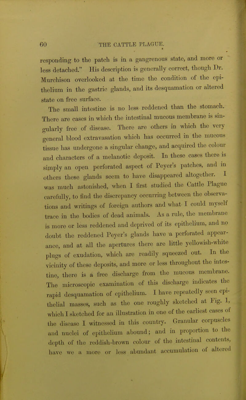 responding to the patch is in a gangrenous state, and more or less detached. His description is generally correct, though Dr. Murchison overlooked at the time the condition of the epi- thelium in the gastric glands, and its desquamation or altered state on free surface. The small intestine is no less reddened than the stomach. There are cases in which the intestinal mucous membrane is sin- gularly ft-ee of disease. There are others in wliich the very general blood extravasation which has occurred in the mucous tissue has undergone a singular change, and acquired the colour and characters of a melanotic deposit. In these cases there is simply an open perforated aspect of Peyer's patches, and in others these glands seem to have disappeared altogether. I was much astonished, when I first studied the Cattle Plague carefully, to find the discrepancy occurring between the observa- tions and writings of foreign authors and what I could myself trace in the bodies of dead animals. As a rule, the membrane is more or less reddened and deprived of its epithelium, and no doubt the reddened Peyer's glands have a perforated appear- ance, and at all the apertures there are little yellowish-white plugs of exudation, which are readily squeezed out. In the vicinity of these deposits, and more or less throughout the intes- tine, there is a free discharge from the mucous membrane. The microscopic examination of this discharge indicates the rapid desquamation of epithelium. I have repeatedly seen epi- thelial masses, such as the one roughly sketched at Fig. 1, which I sketched for an iUustration in one of the earUest cases of the disease I witnessed in tliis country. Granular corpuscles and nuclei of epithelium abound; and in proportion to the depth of the reddish-brown colom- of the intestinal contents, have we a more or less abundant accumulation of altered