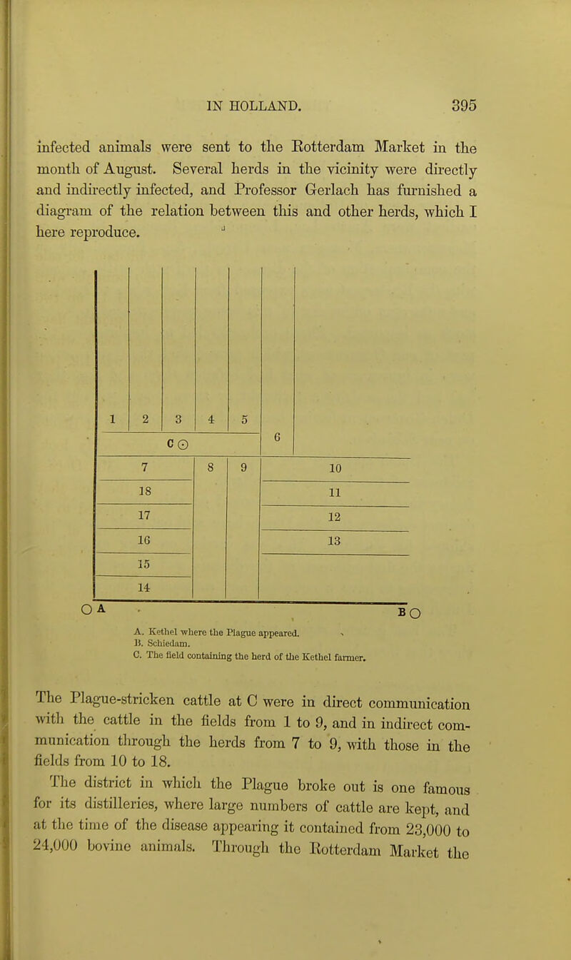 infected animals were sent to the Eotterdam Market in the month of August. Several herds in the vicinity were directly and indirectly infected, and Professor Gerlach has furnished a diagram of the relation between tliis and other herds, which I here reproduce. 1 2 3 4 5 C0 6 7 8 9 10 18 11 17 12 IG 13 15 14 OA . BQ A. Kethel where the Plague appeared. 15. Schiedam. C. The held contaioing the herd of the Kethel farmer. The Plague-stricken cattle at C were in direct communication with the cattle in the fields from 1 to 9, and in indirect com- munication through the herds from 7 to 9, with those in the fields from 10 to 18. The district in which the Plague broke out is one famous for its distilleries, where large numbers of cattle are kept, and at the time of the disease appearing it contained from 23,000 to 24,000 bovine animals. Through the Eotterdam Market the